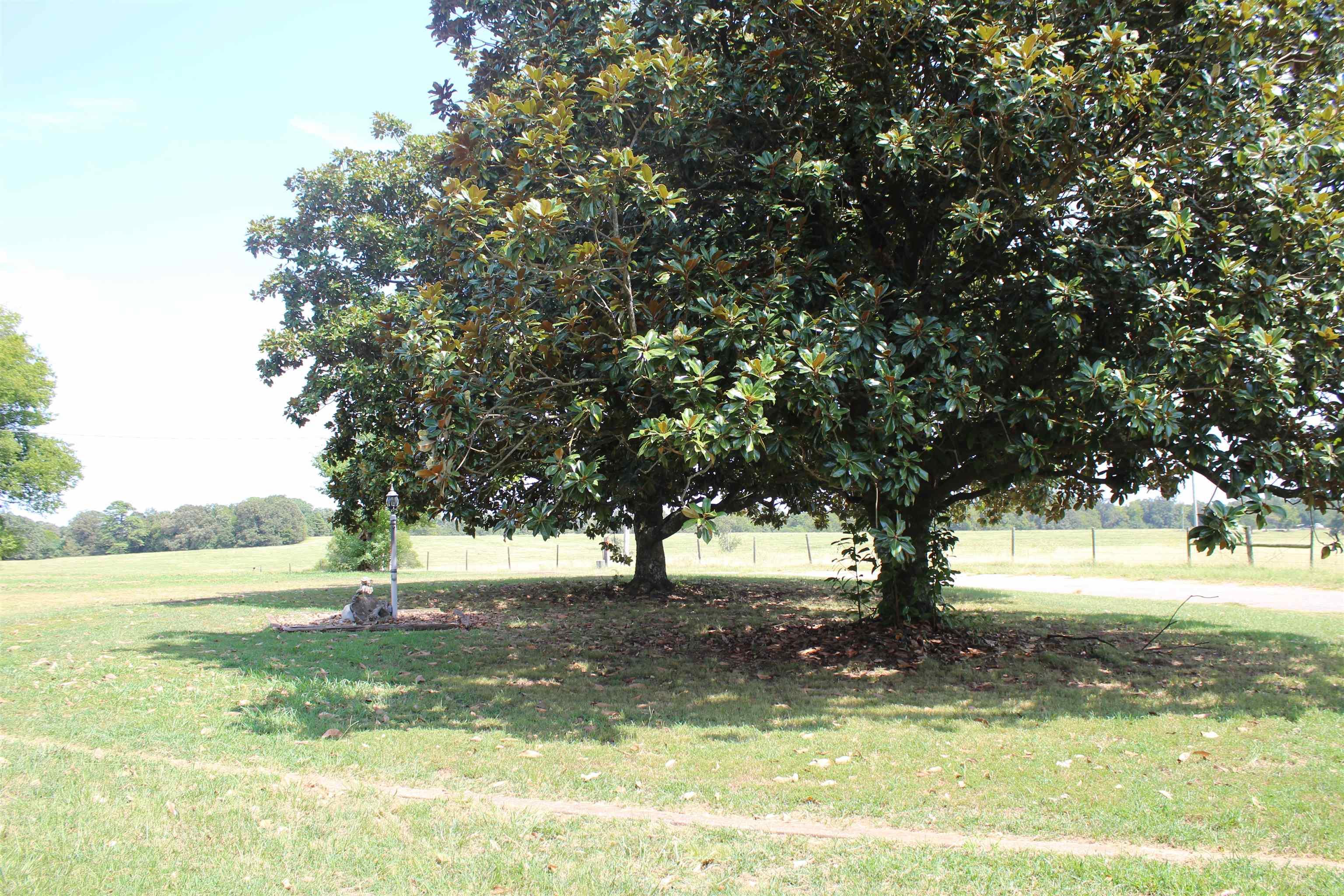 136 Fowler Road Property Photo 3