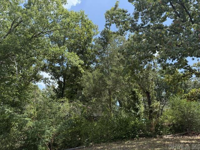 000 Arrowhead Drive Property Photo 6