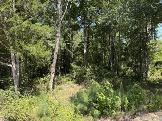 00 Hwy 190 E Property Photo 10