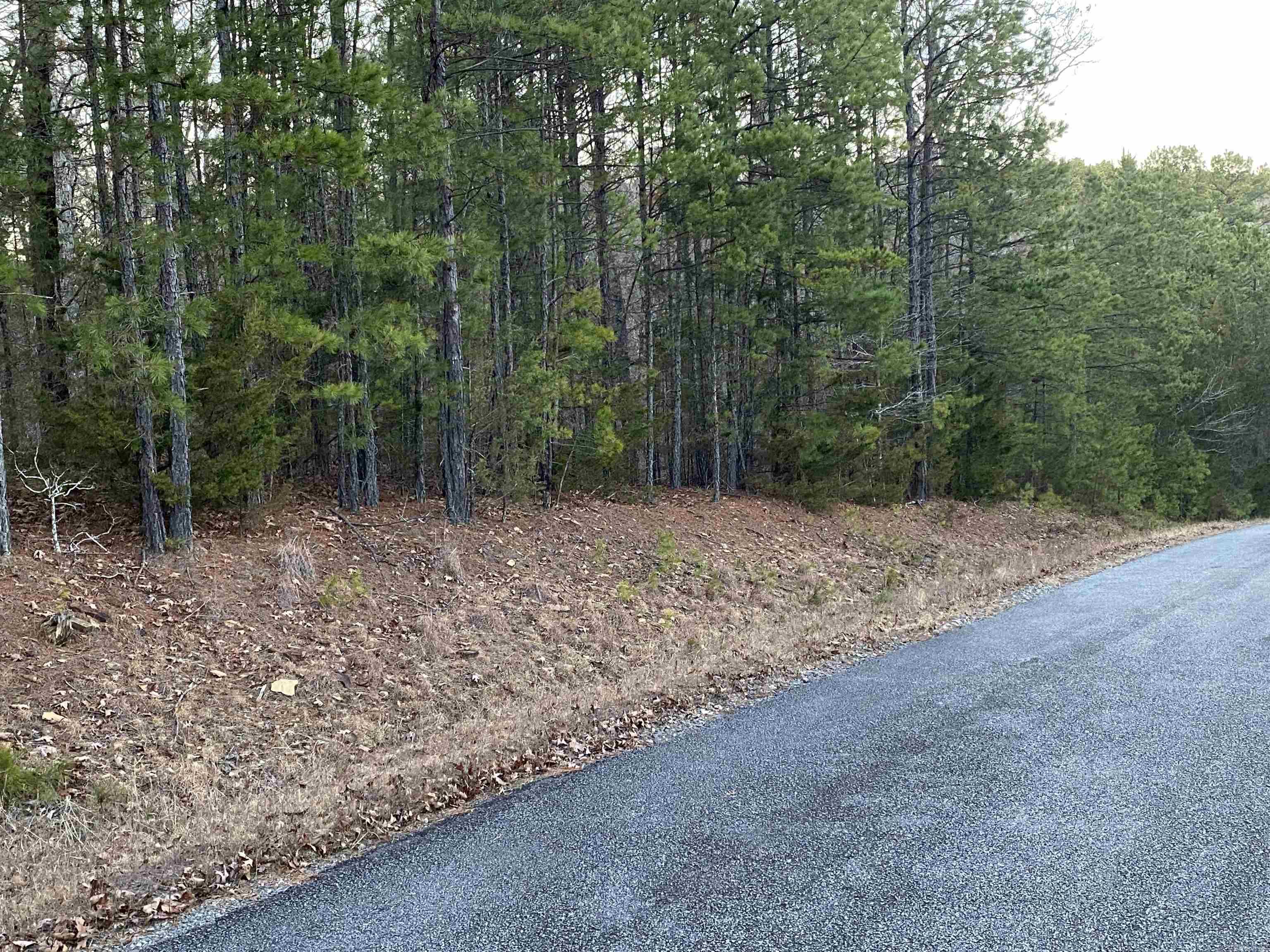 16.61 Acres Mountain Park Road Property Photo 8