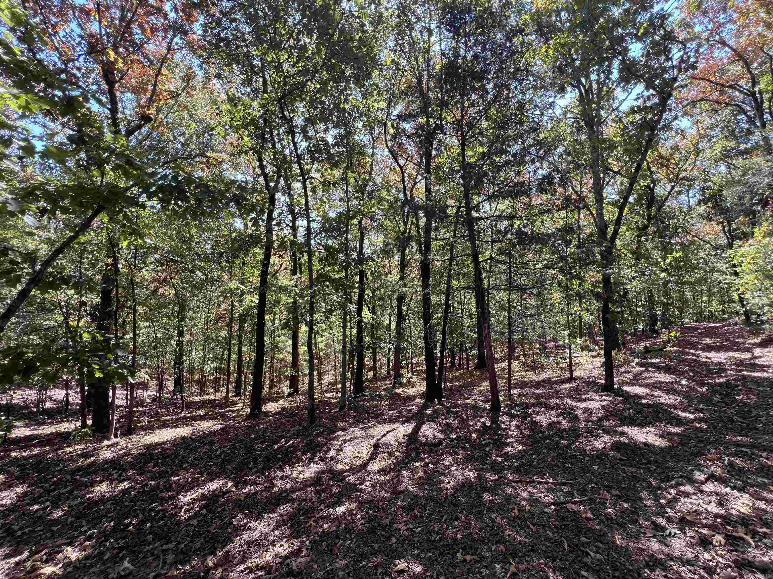 000 Cee Jay Ln Property Photo 1