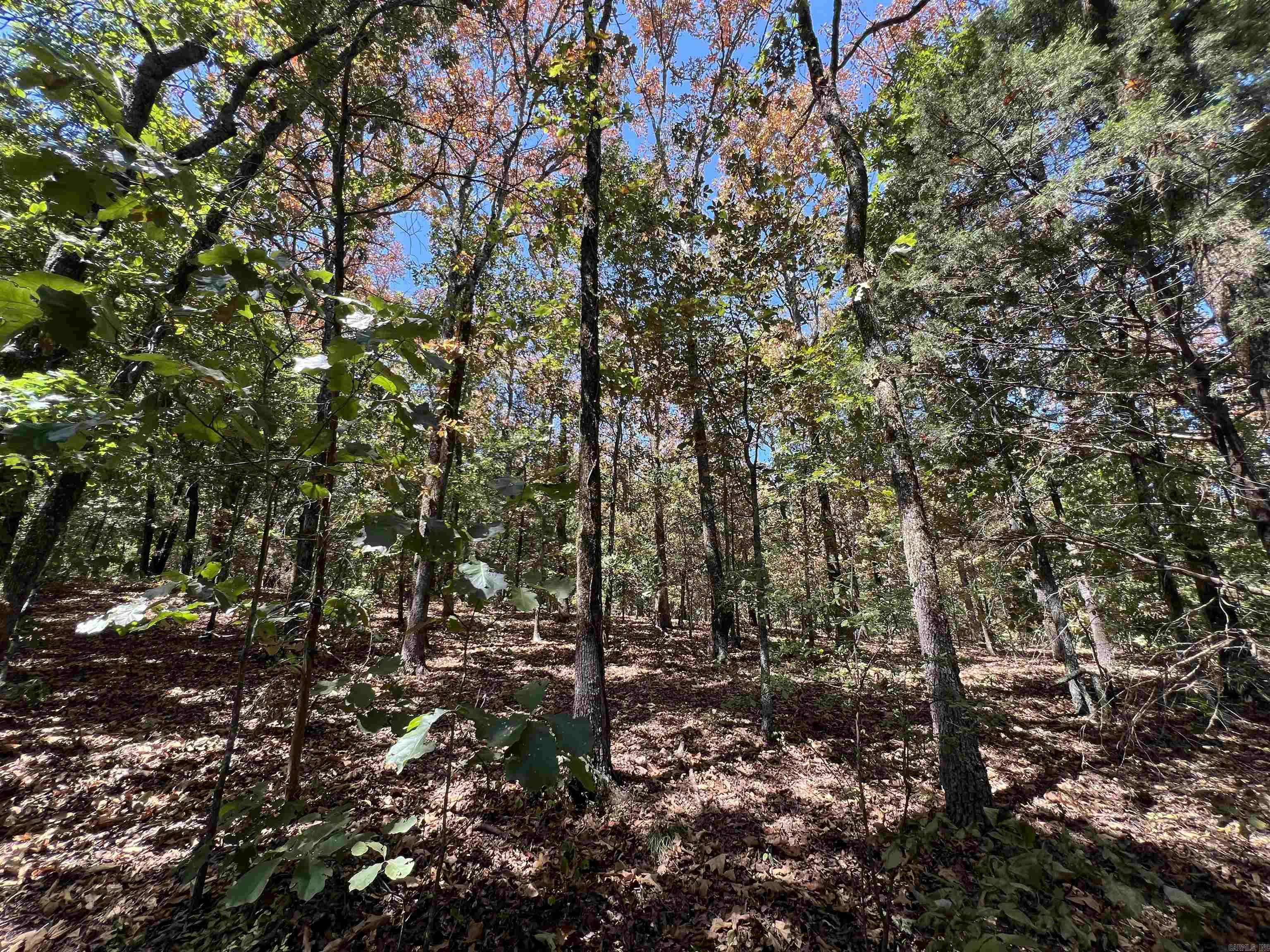 000 Cee Jay Ln Property Photo 2