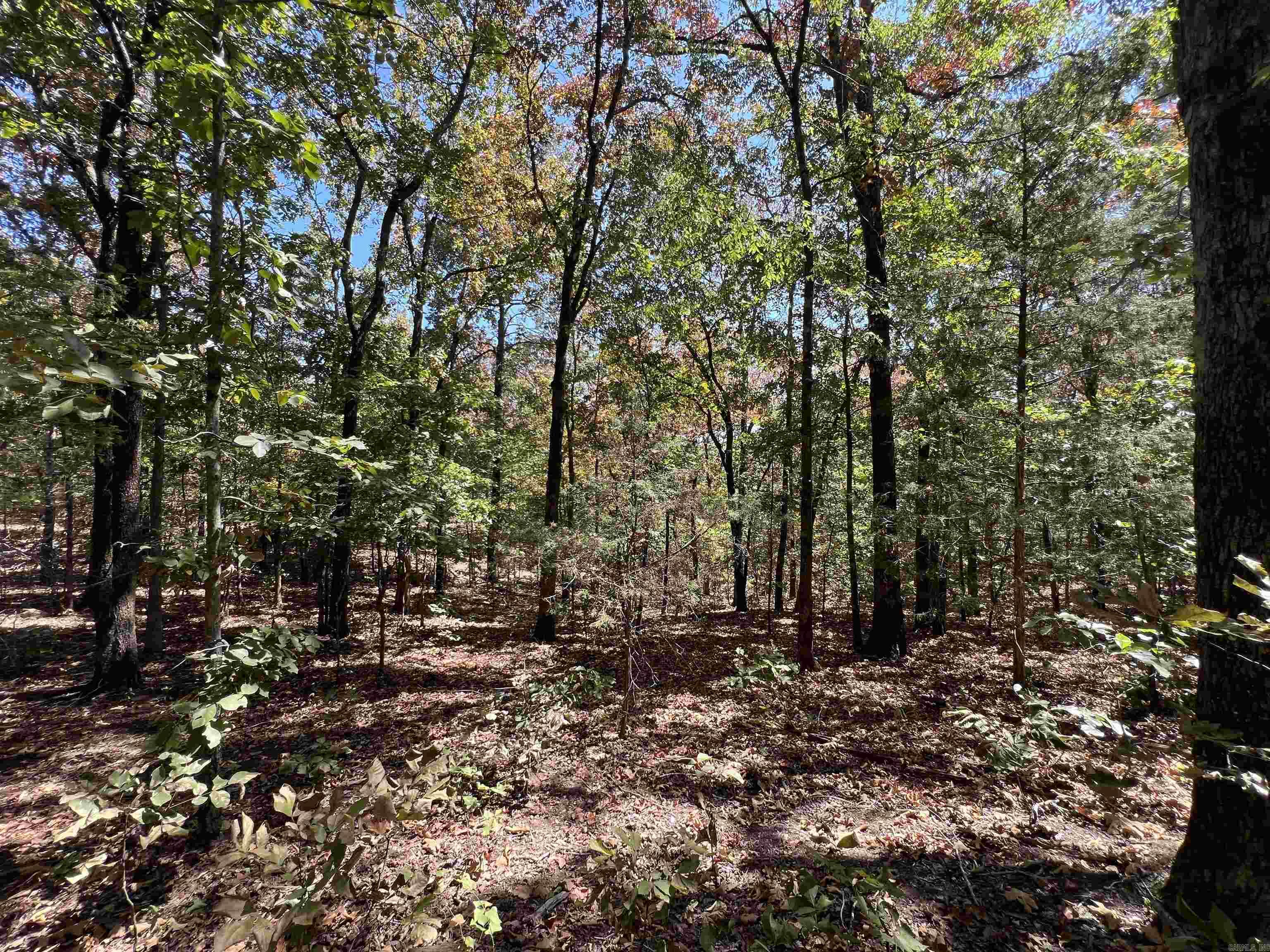 000 Cee Jay Ln Property Photo 3