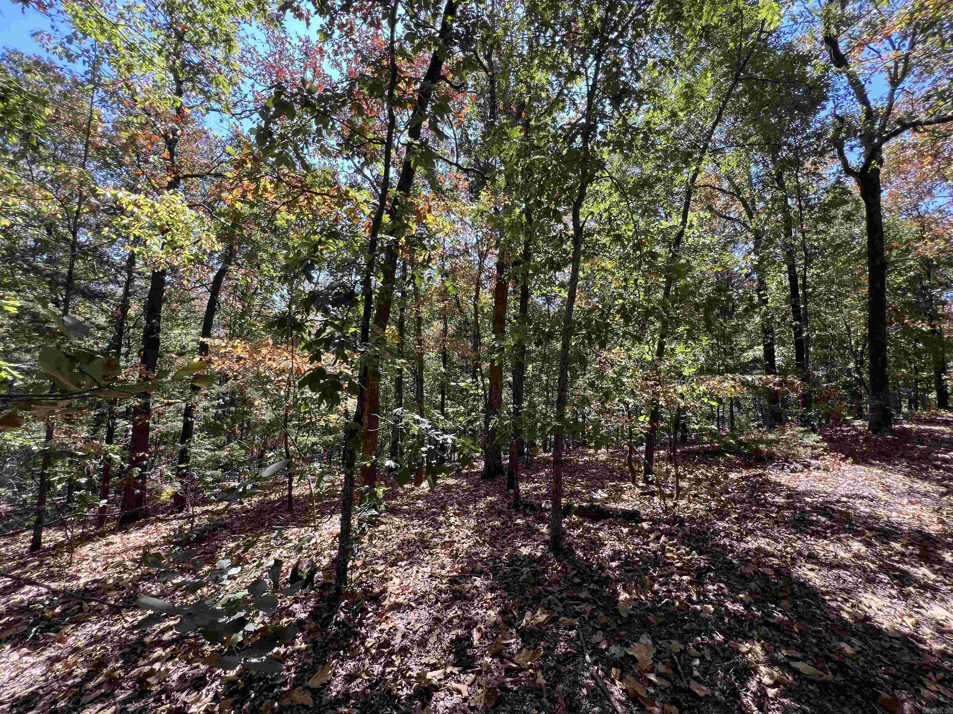 000 Cee Jay Ln Property Photo 7