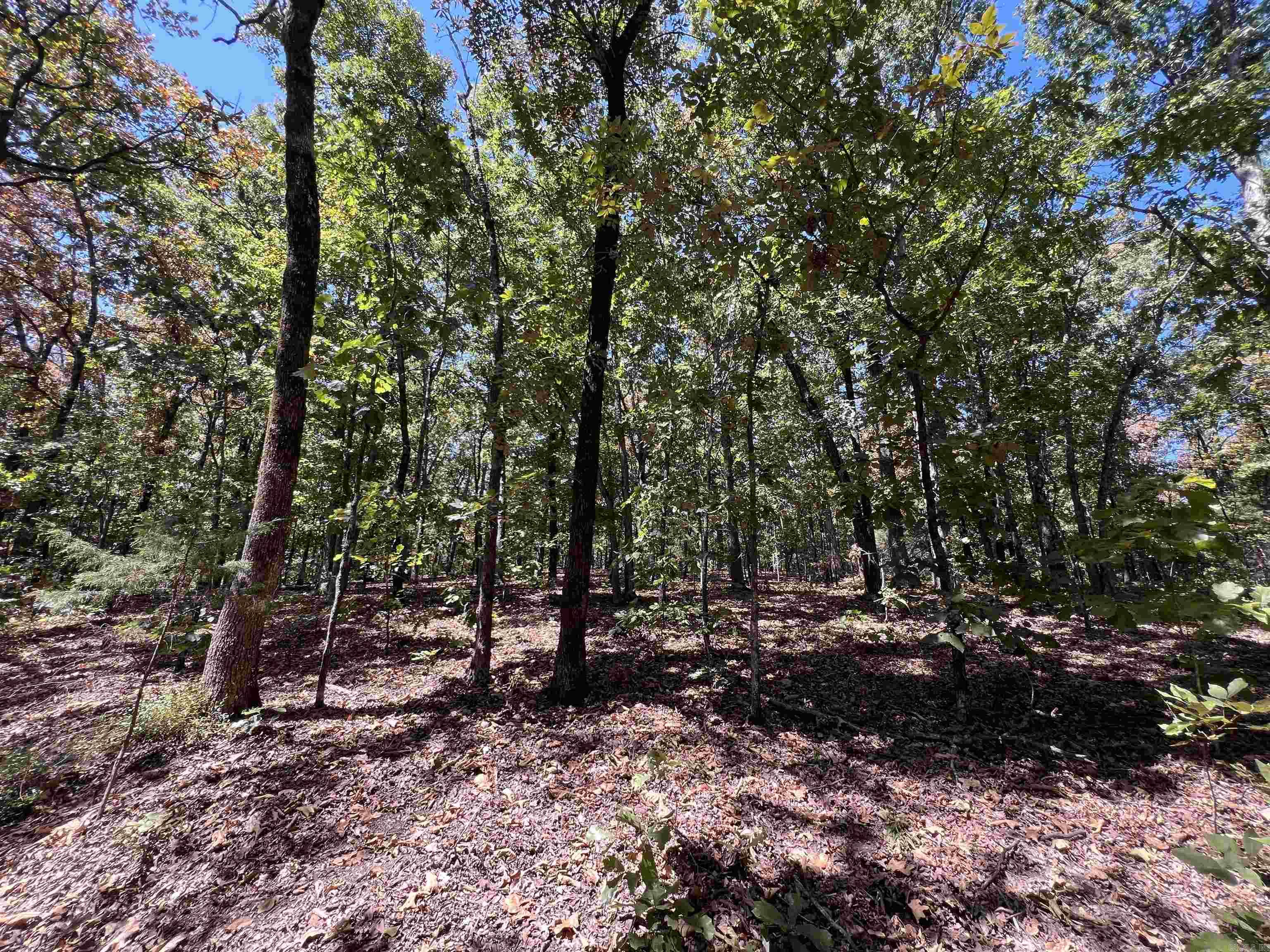 000 Cee Jay Ln Property Photo 8