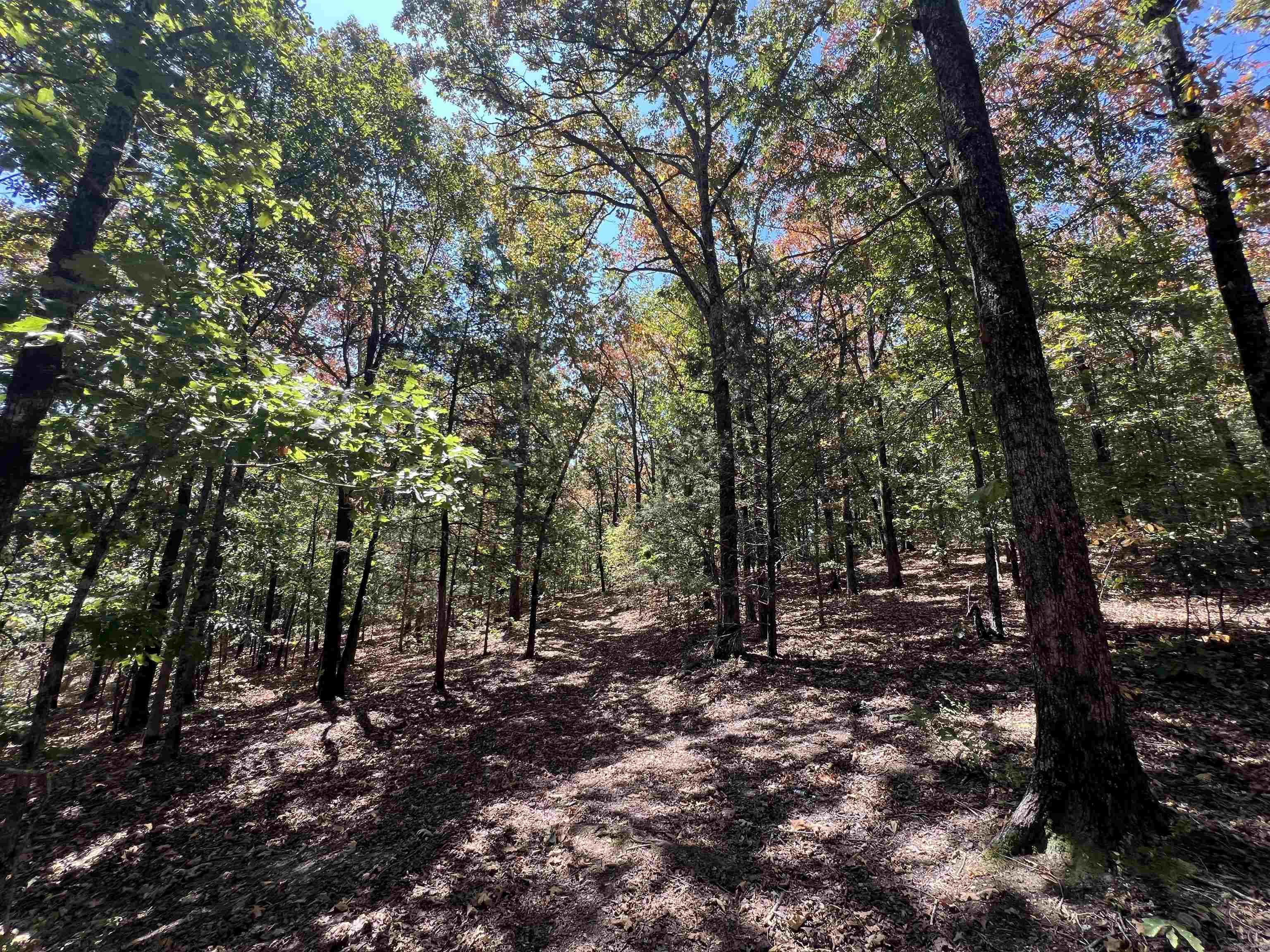 000 Cee Jay Ln Property Photo 9