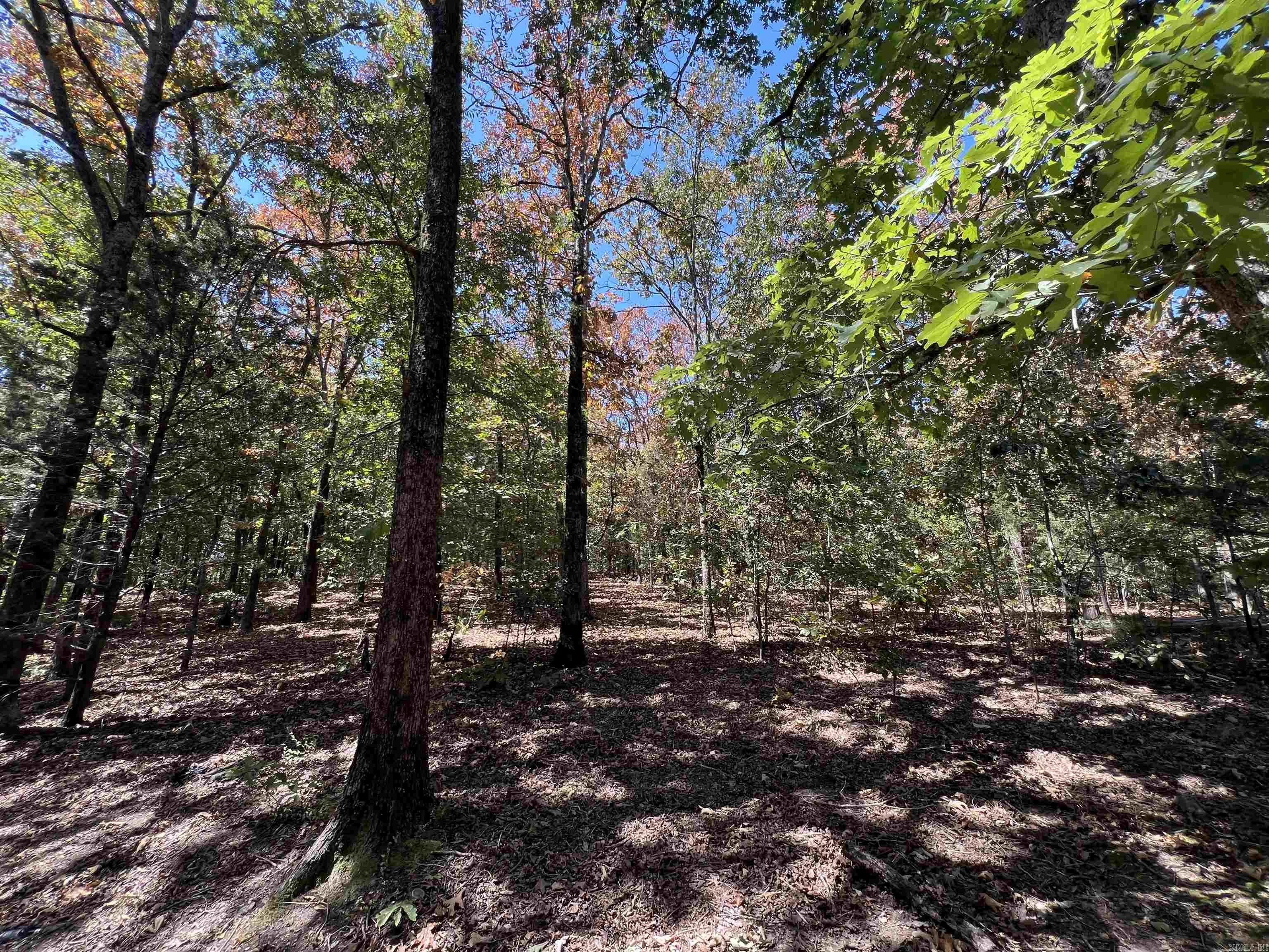 000 Cee Jay Ln Property Photo 10