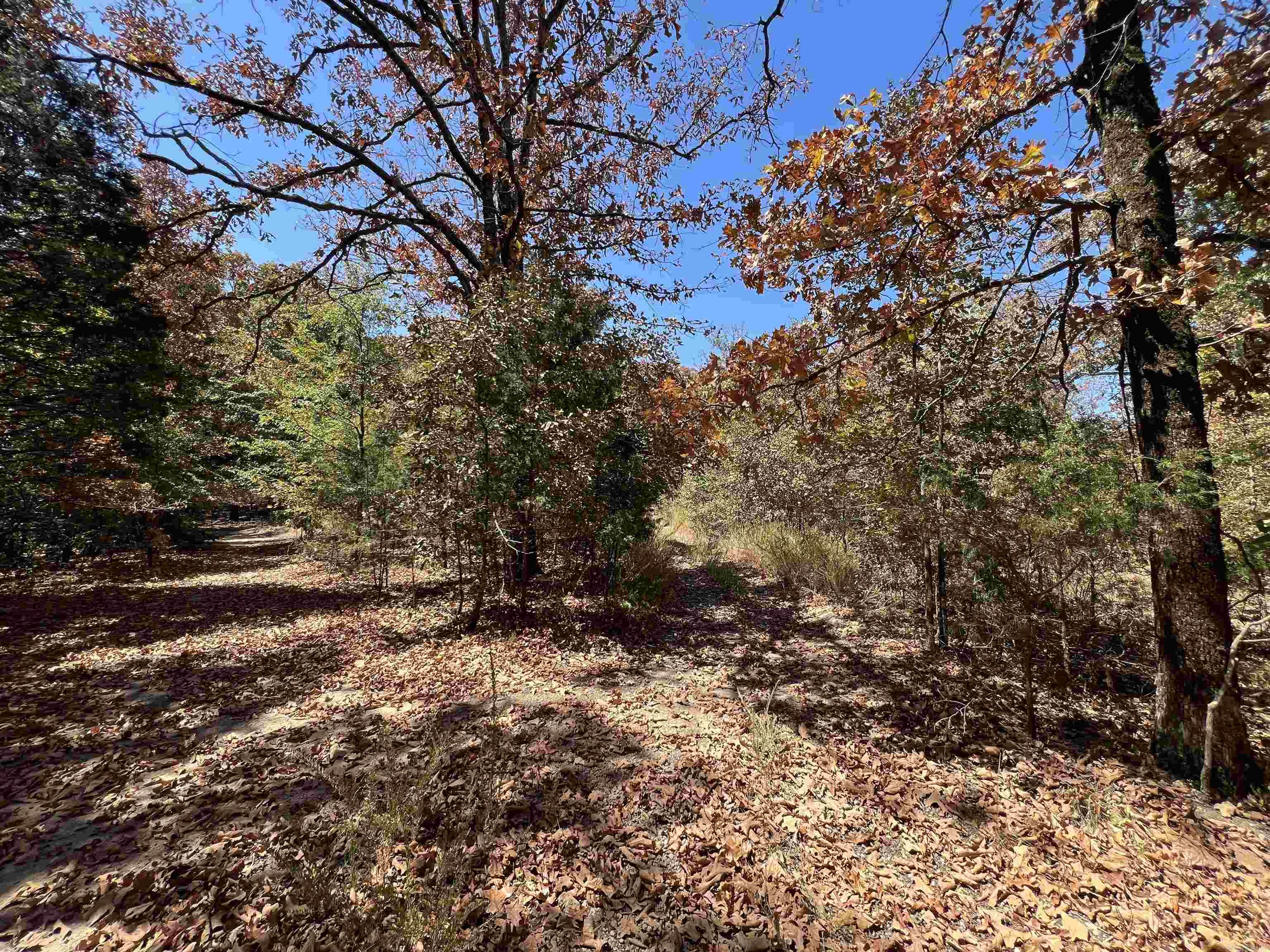 000 Cee Jay Ln Property Photo 11