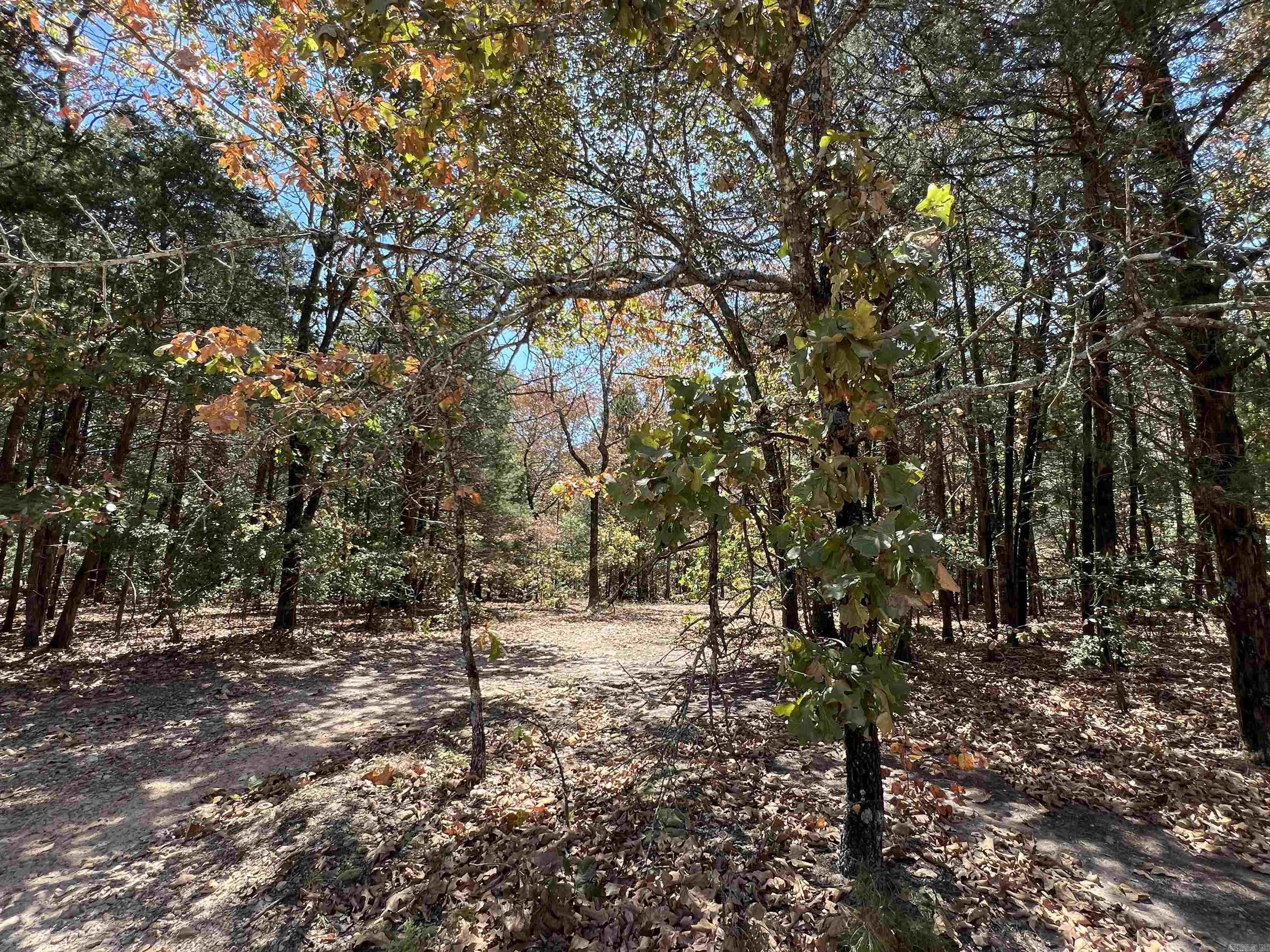 000 Cee Jay Ln Property Photo 12
