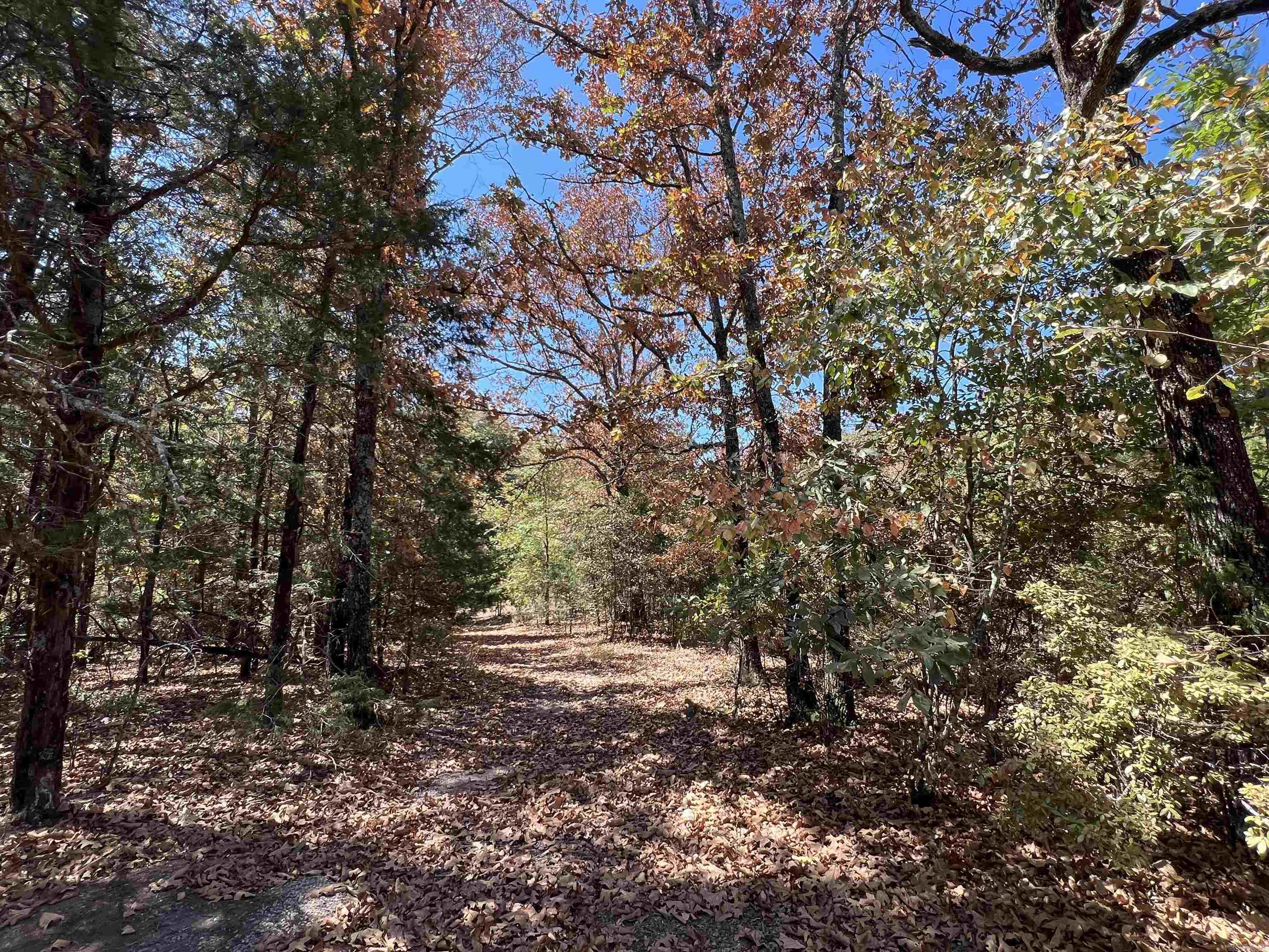 000 Cee Jay Ln Property Photo 13