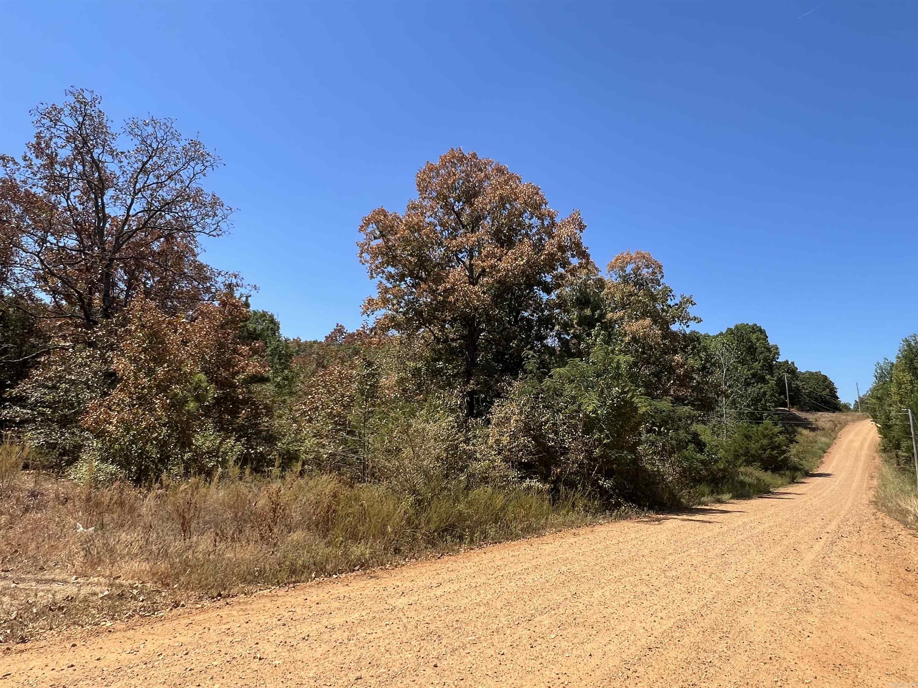000 Cee Jay Ln Property Photo 15