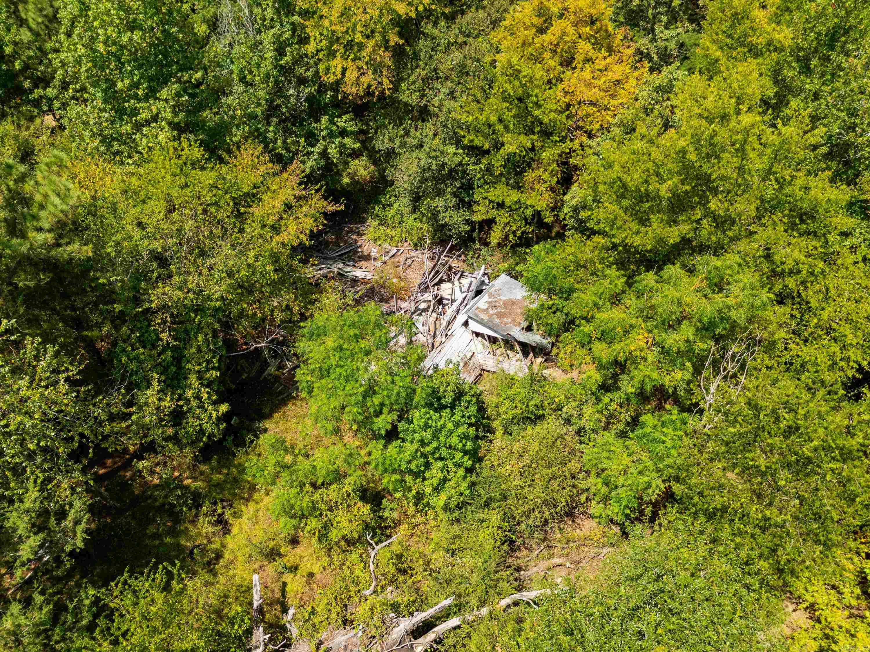 3968 Highway 182 Property Photo 13