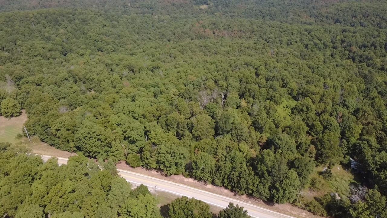 Tbd 175 Highway Property Photo 2