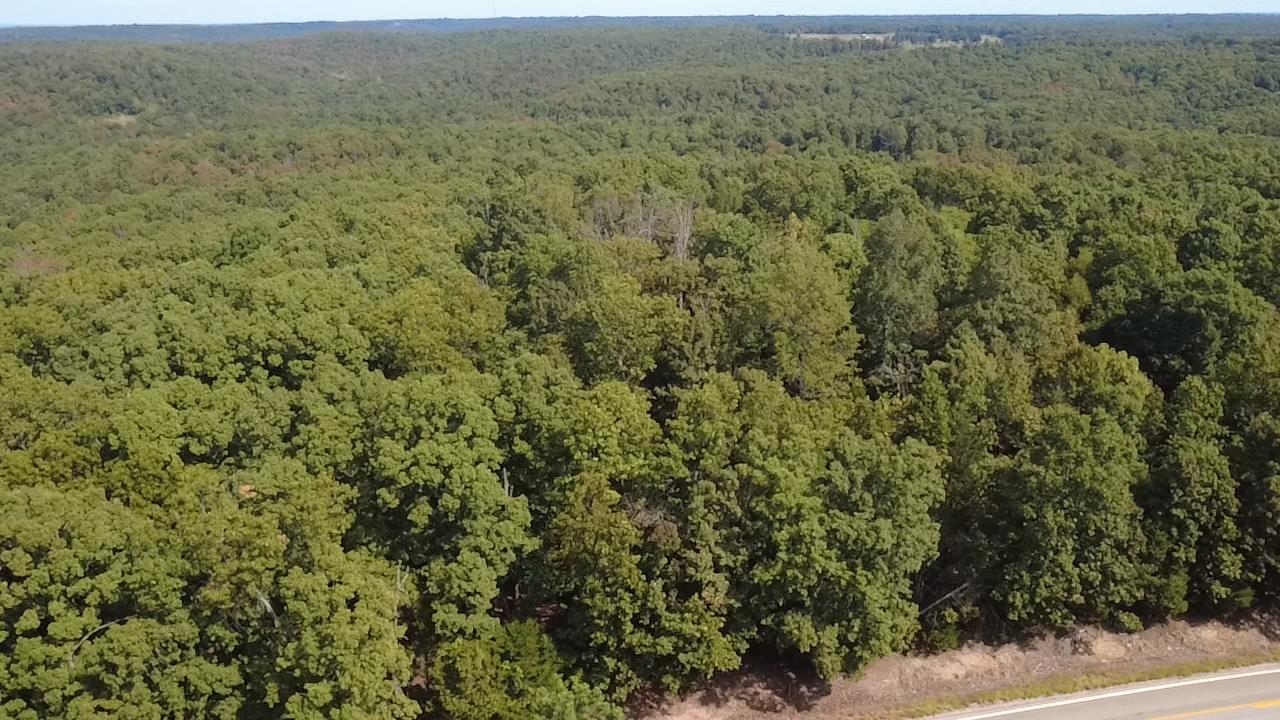 Tbd 175 Highway Property Photo 4