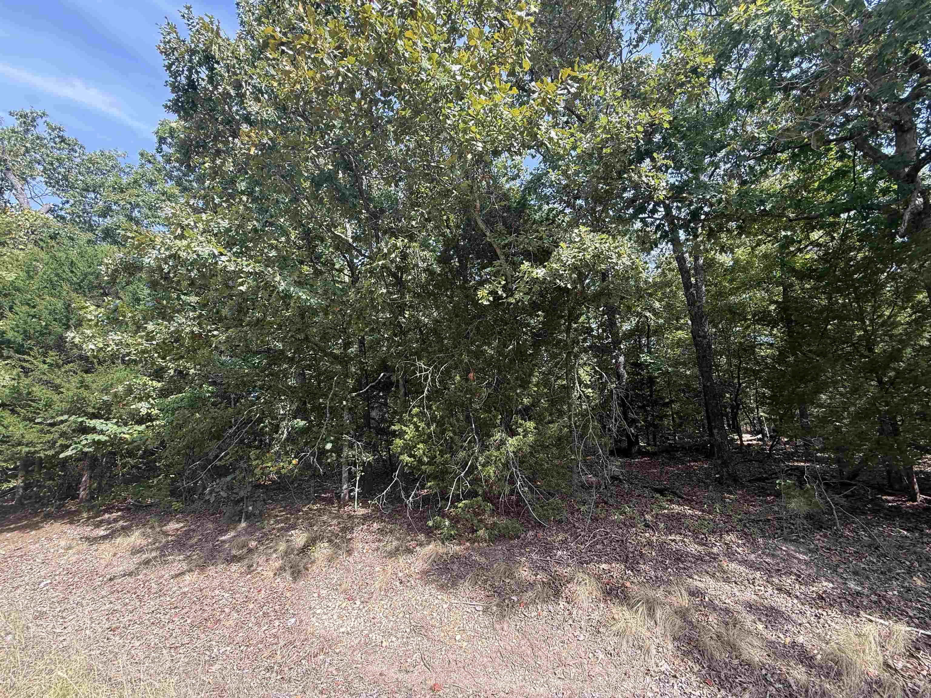 Tbd 175 Highway Property Photo 5