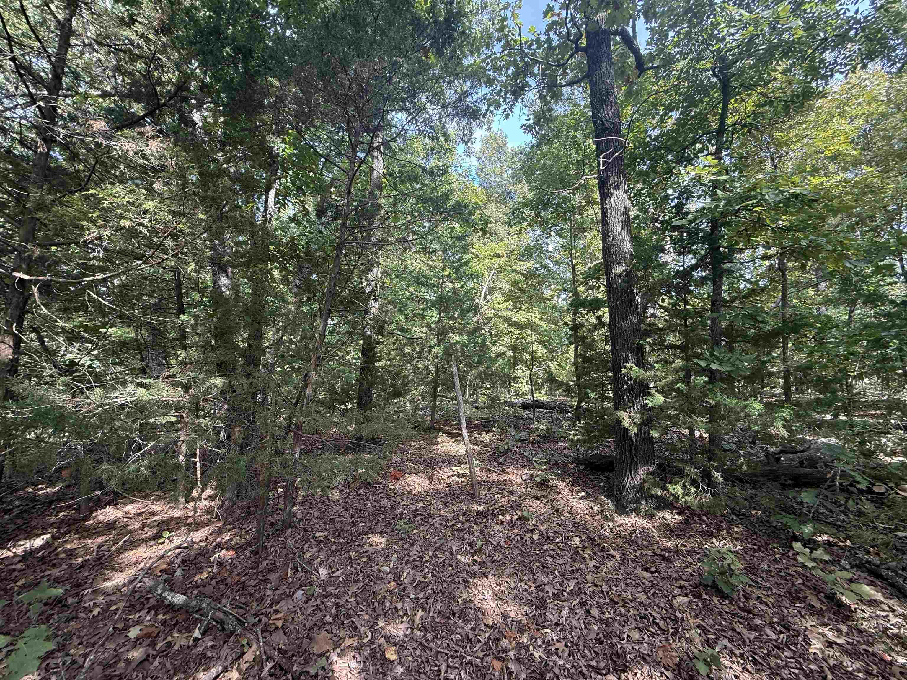 Tbd 175 Highway Property Photo 6