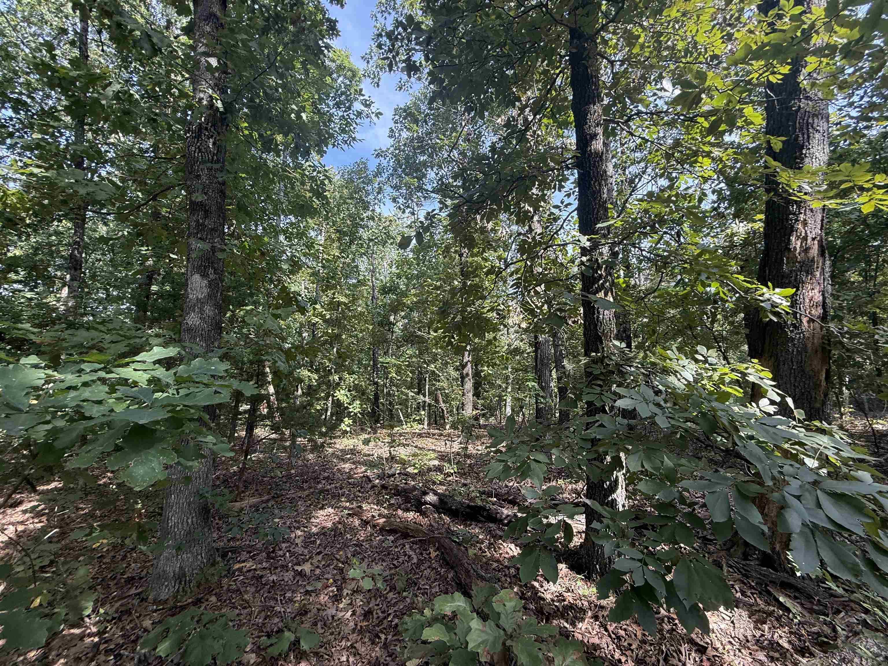 Tbd 175 Highway Property Photo 7