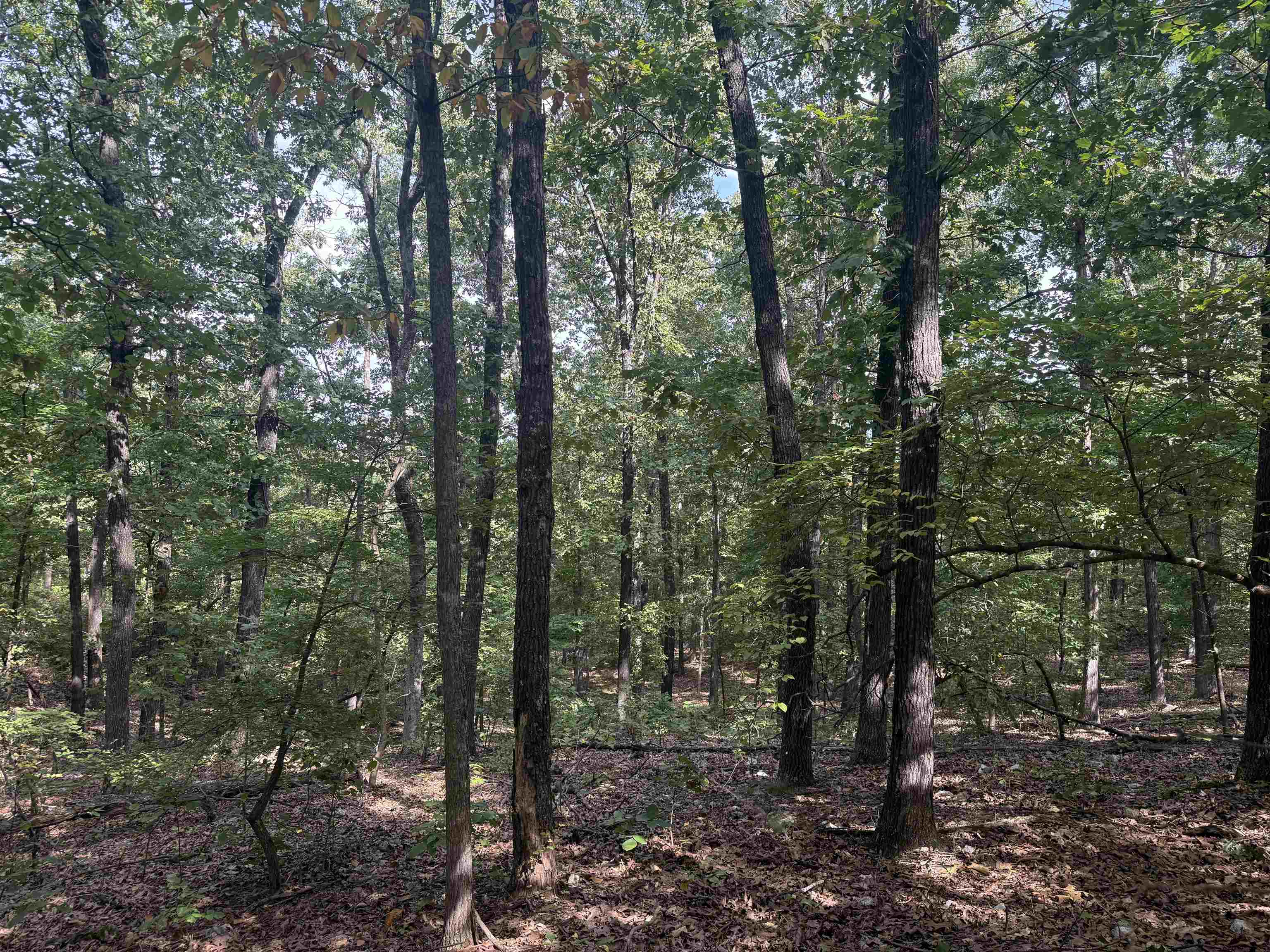 Tbd 175 Highway Property Photo 8