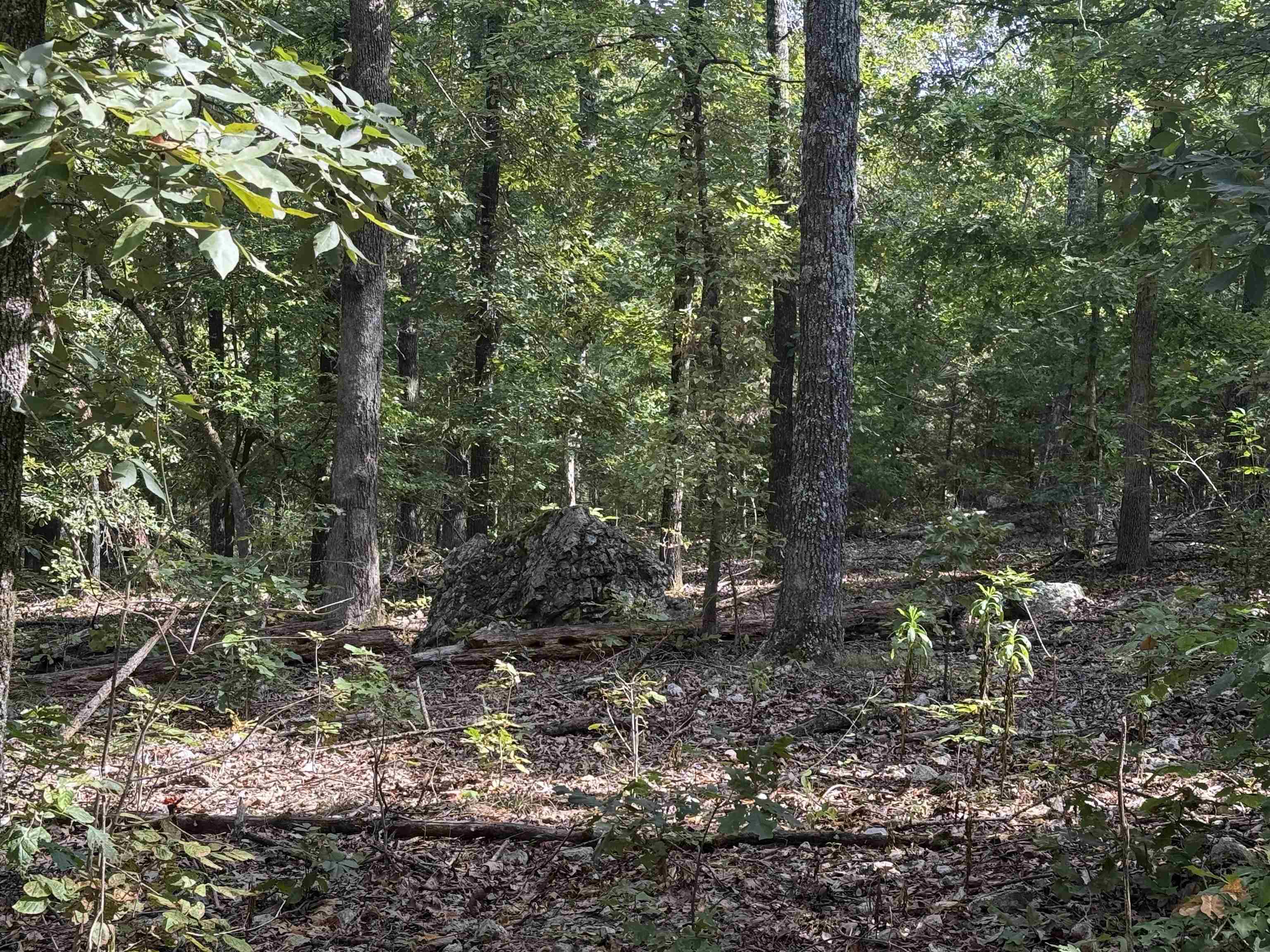 Tbd 175 Highway Property Photo 9