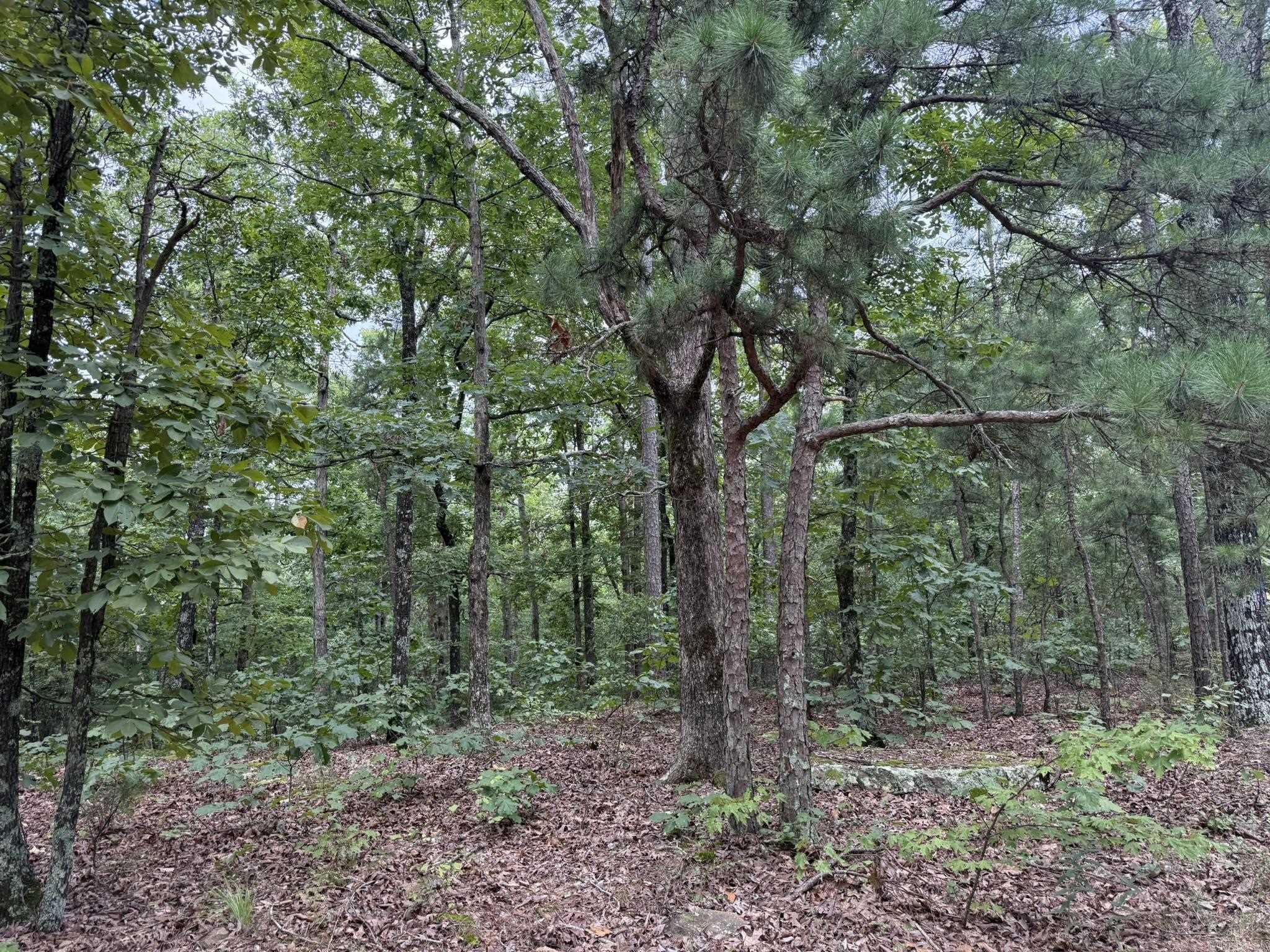000 Na Property Photo 3