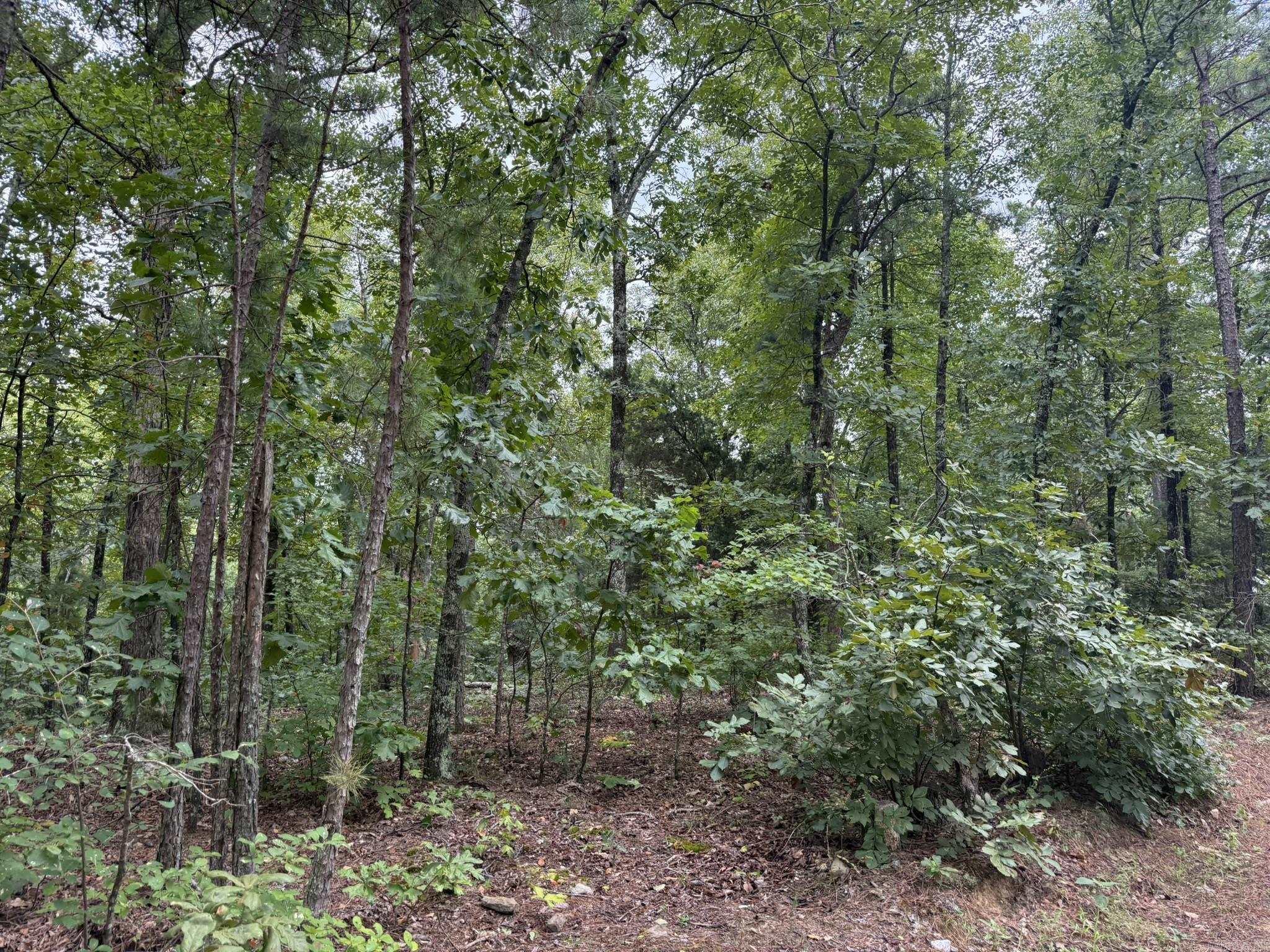 000 Na Property Photo 4