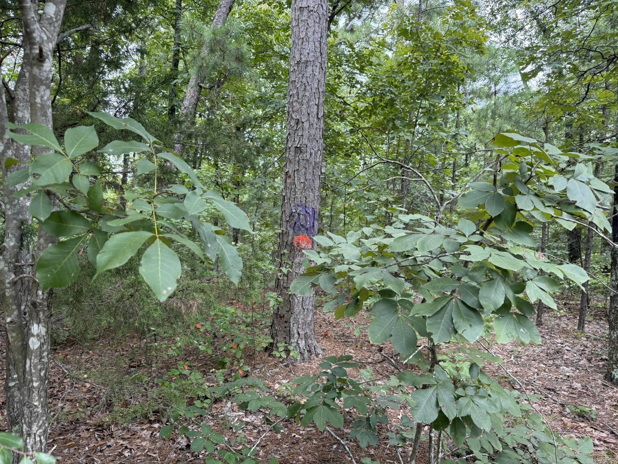 000 Na Property Photo 5