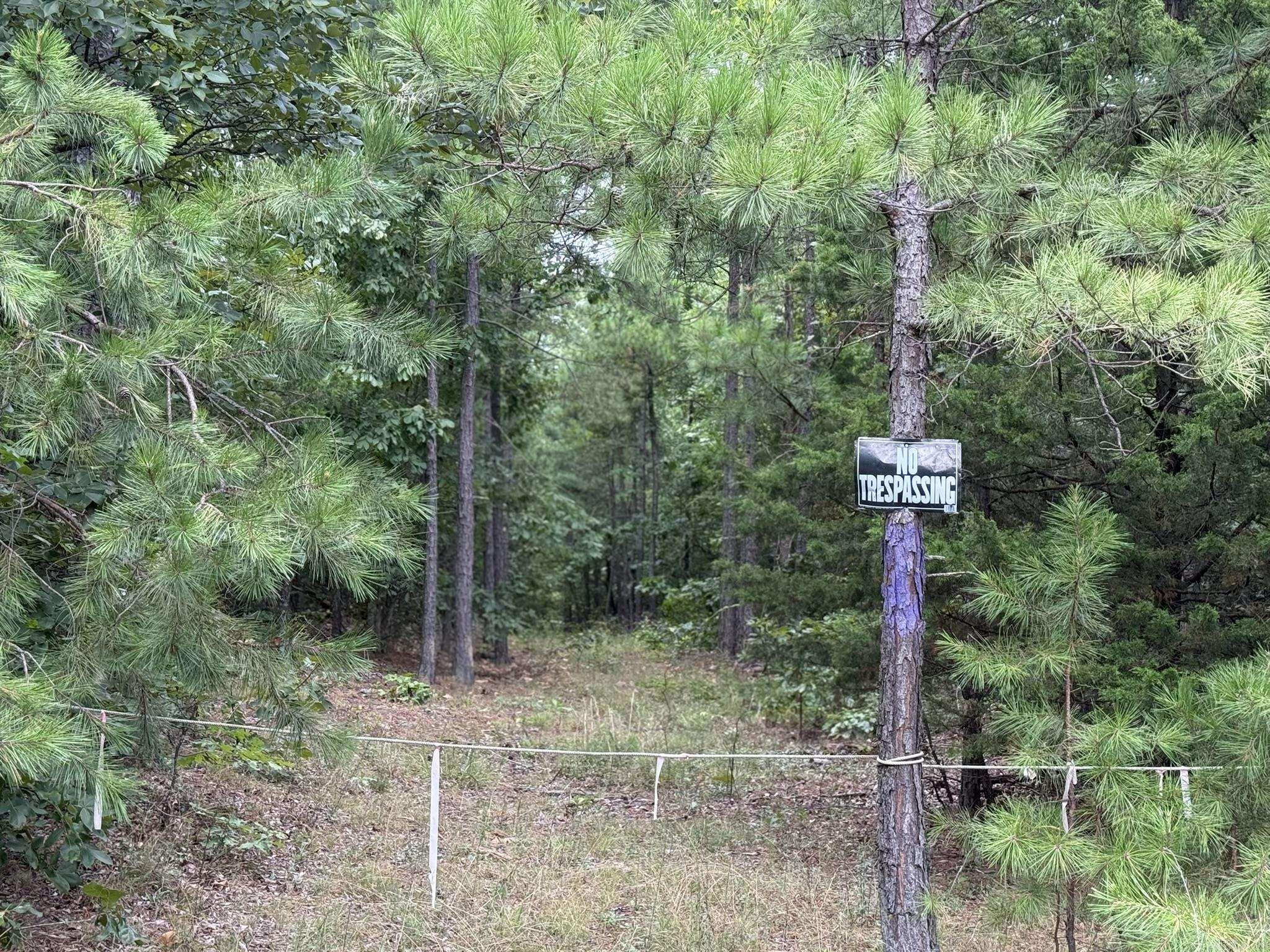 000 Na Property Photo 6