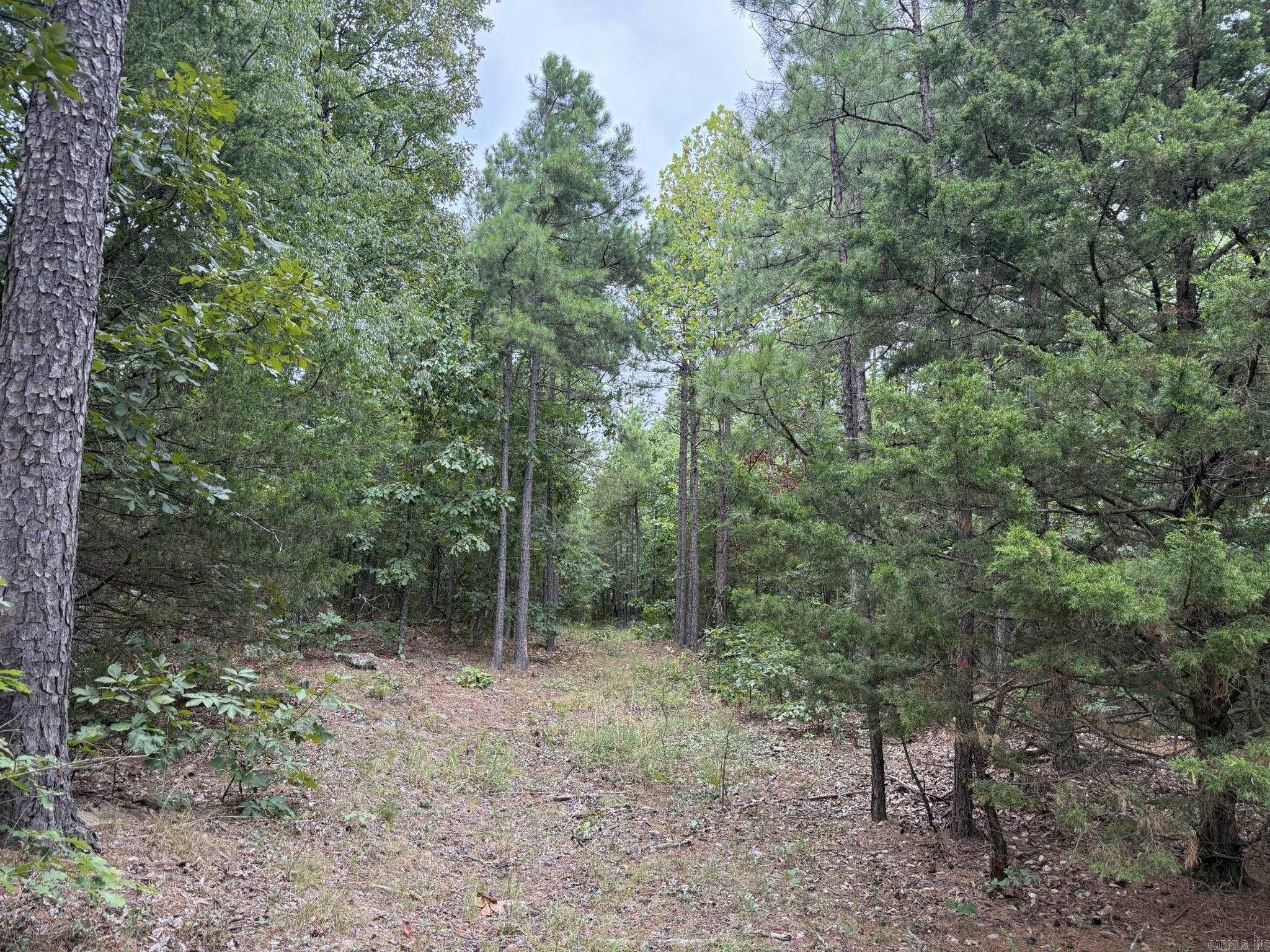 000 Na Property Photo 7