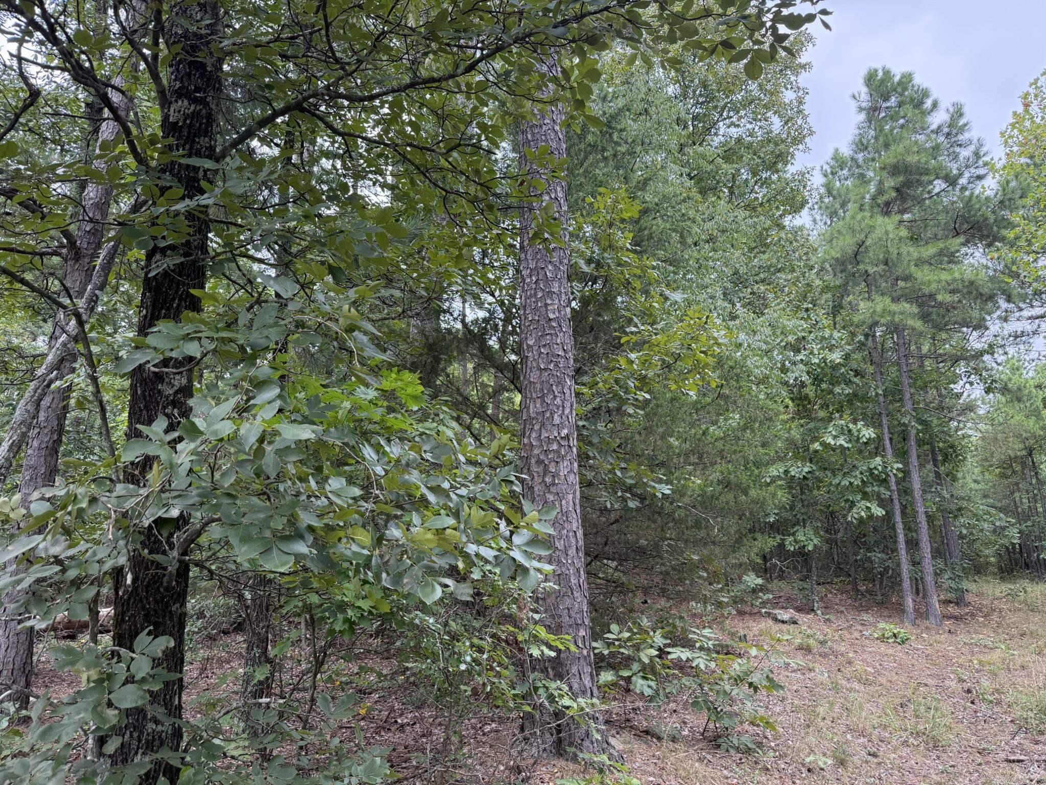 000 Na Property Photo 8