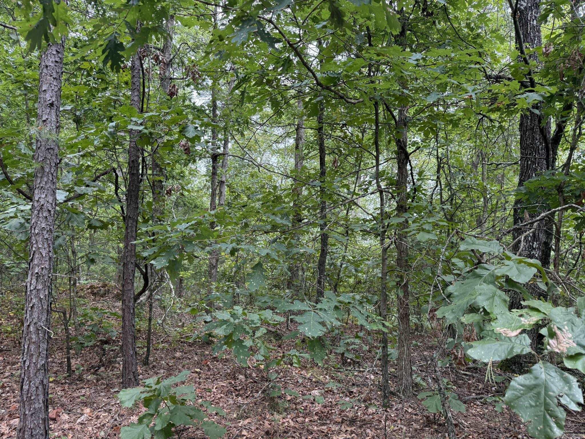 000 Na Property Photo 10