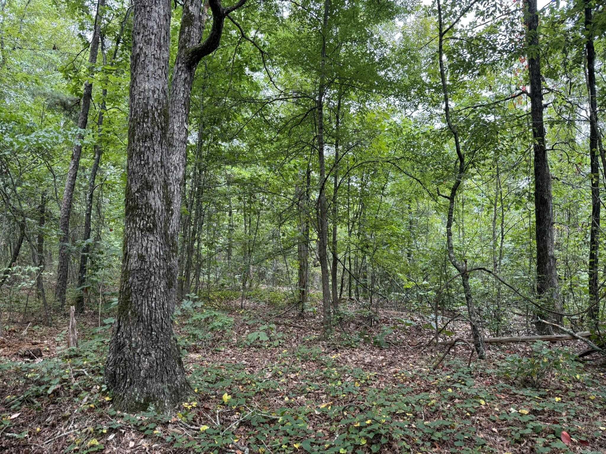 000 Na Property Photo 11