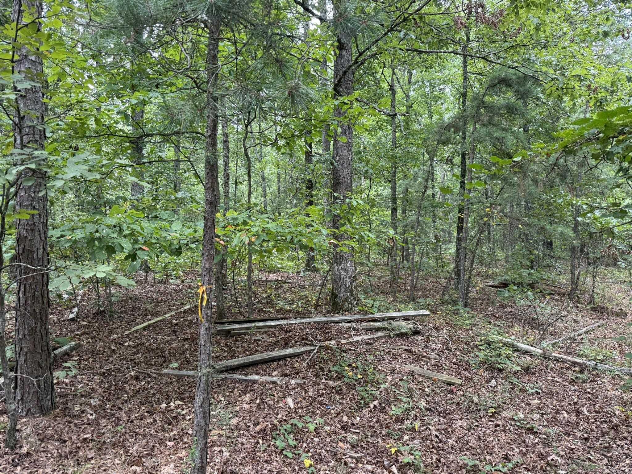 000 Na Property Photo 12