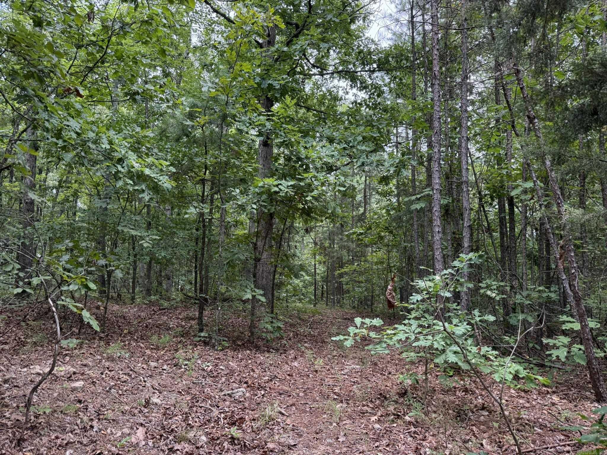 000 Na Property Photo 13