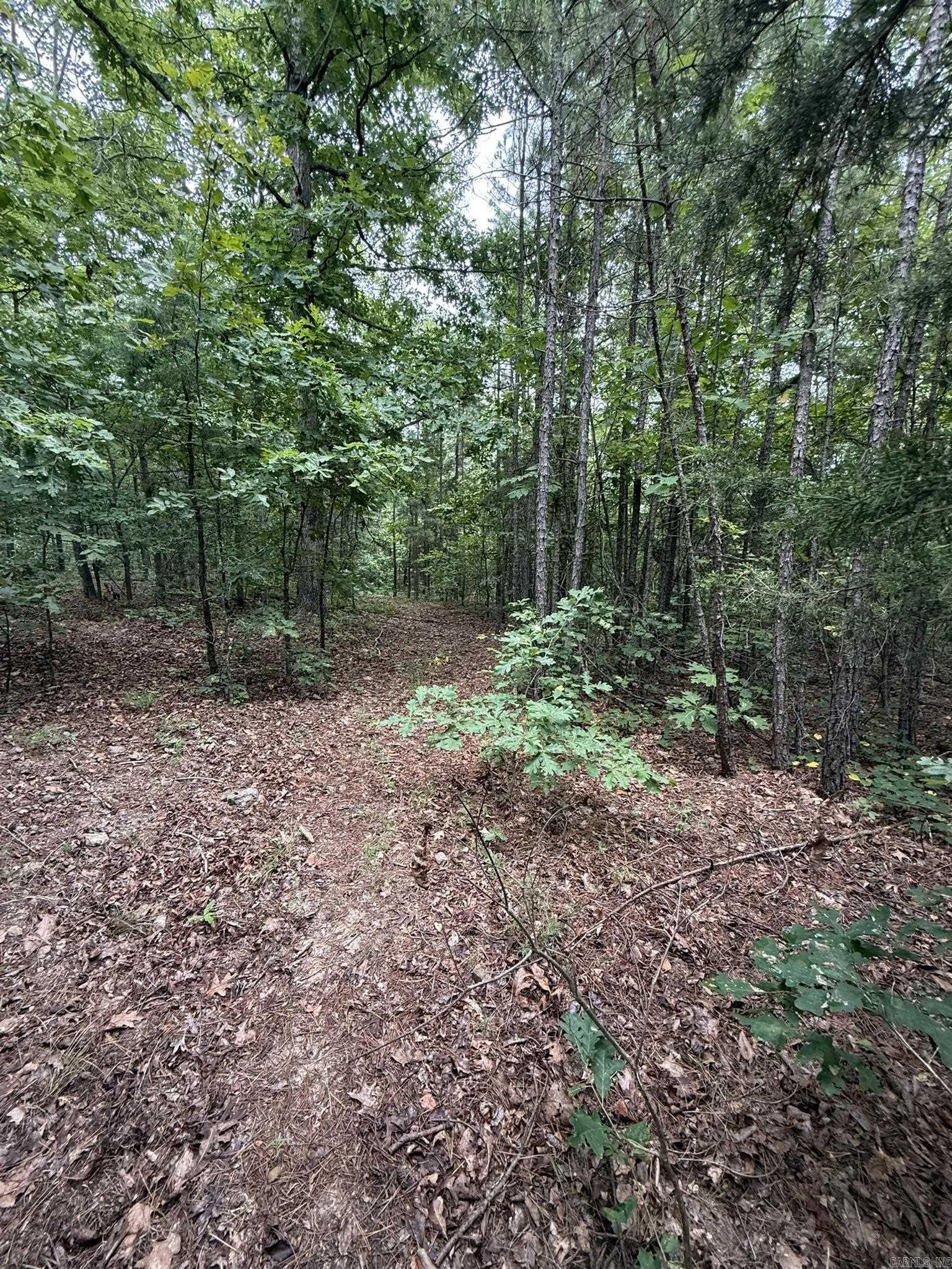 000 Na Property Photo 14