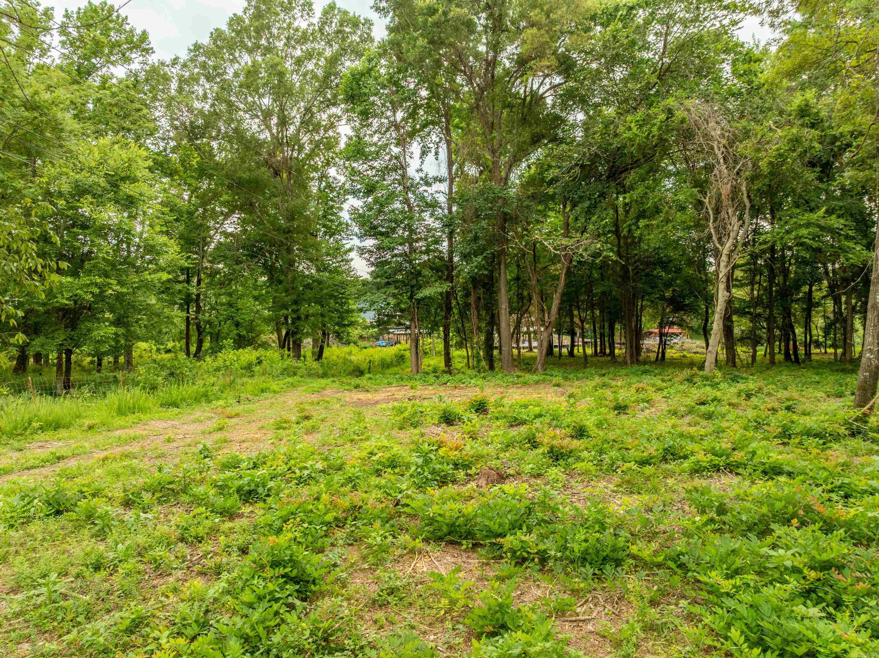 000 Hwy 290 Property Photo 17