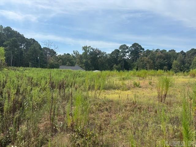 20301 Cole Lane Property Photo 1