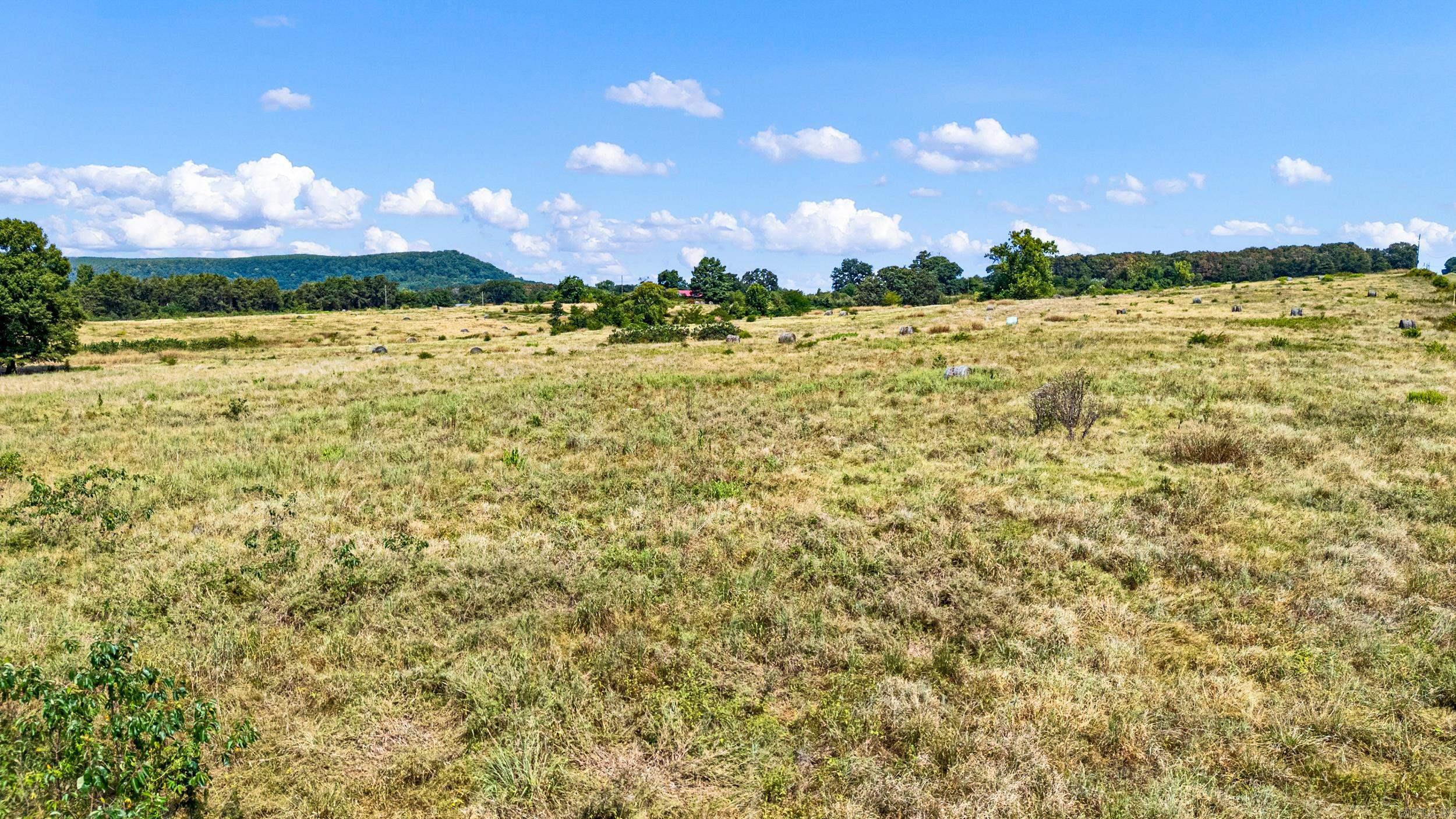 00 Hwy 213 /devils Creek Road Property Photo 1