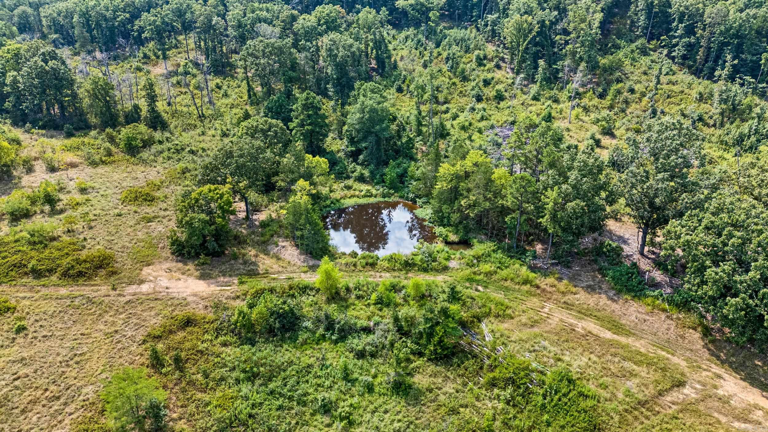 00 Hwy 213 /devils Creek Road Property Photo 10