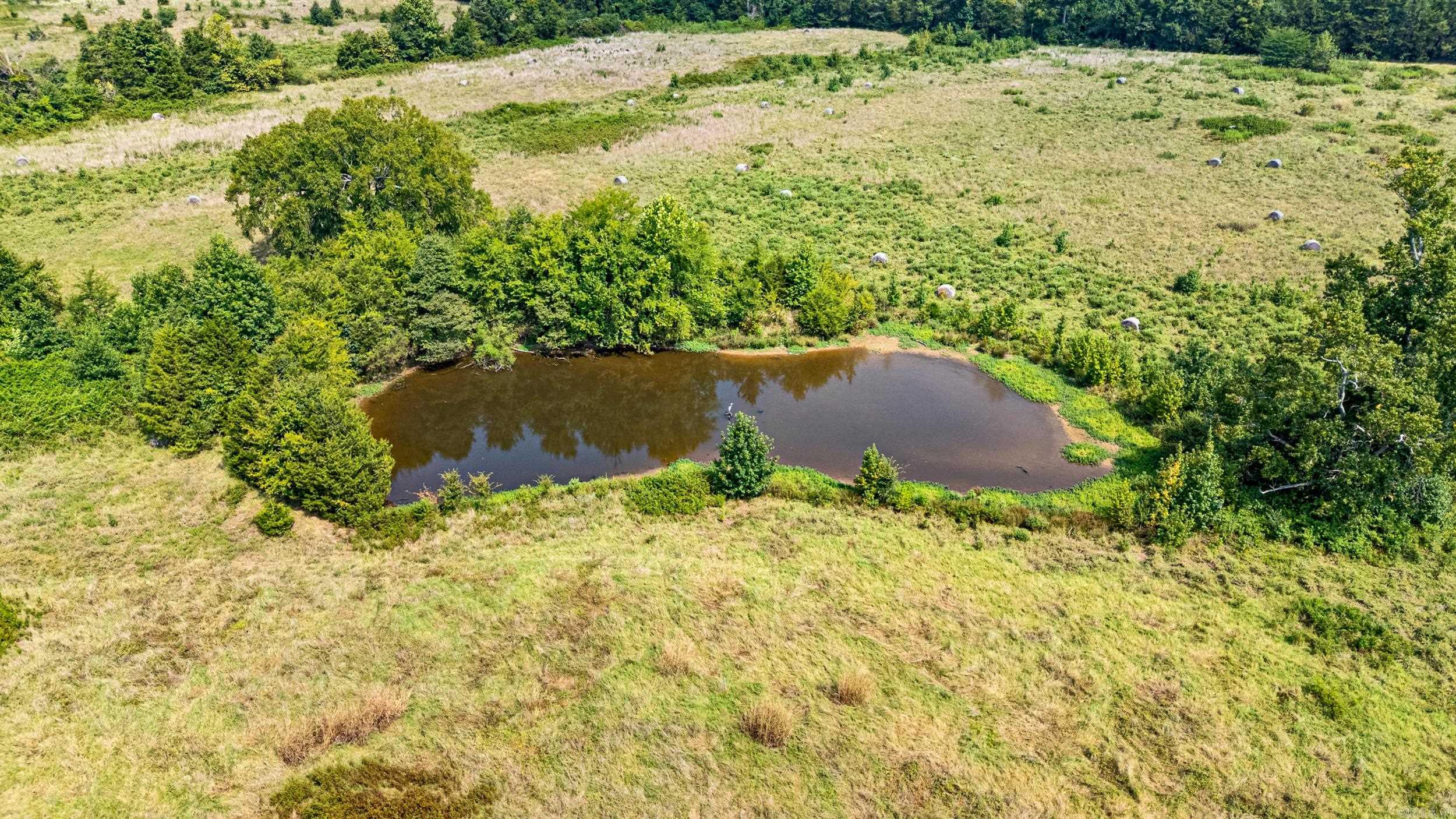 00 Hwy 213 /devils Creek Road Property Photo 11