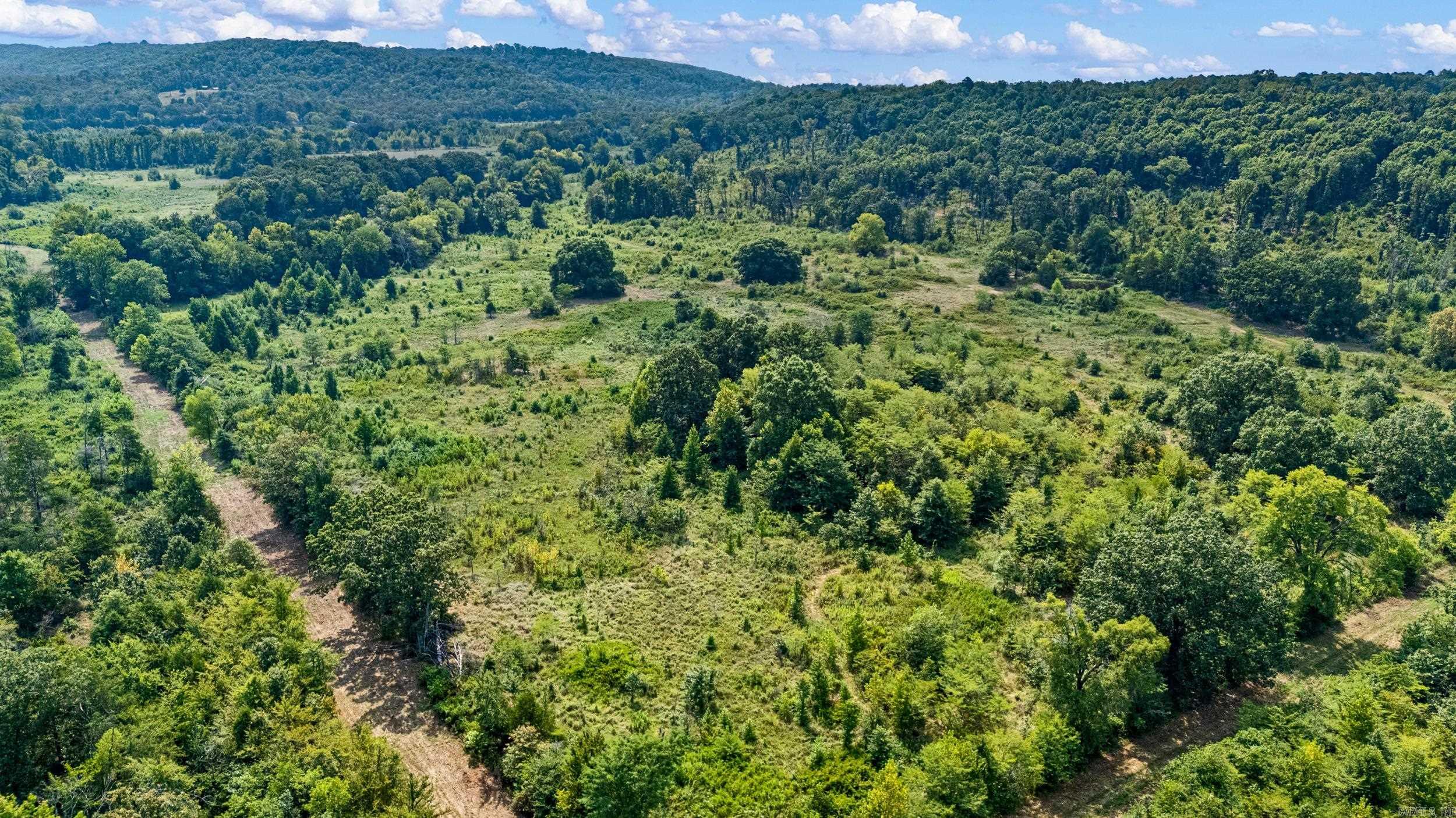00 Hwy 213 /devils Creek Road Property Photo 13
