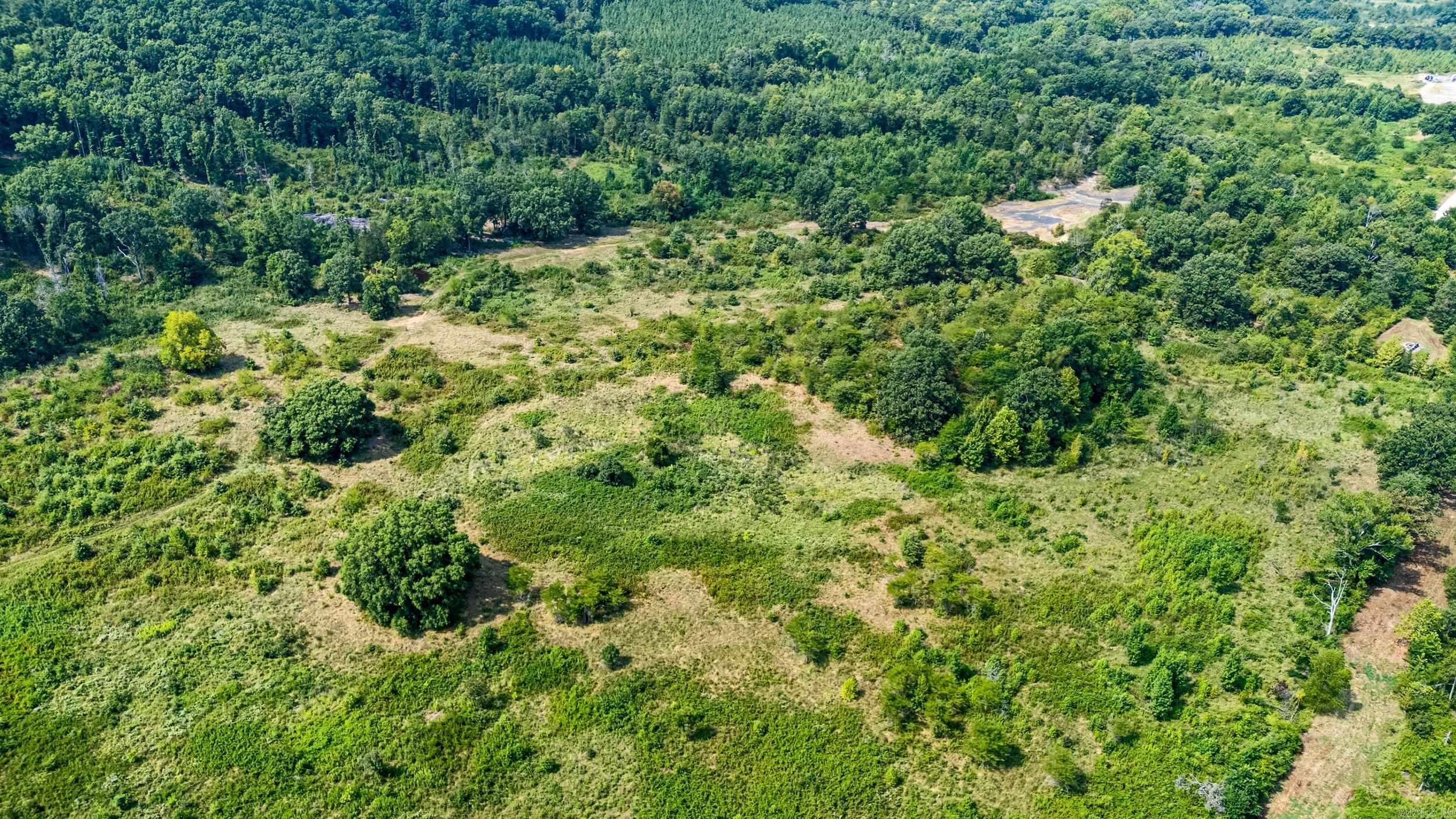 00 Hwy 213 /devils Creek Road Property Photo 14