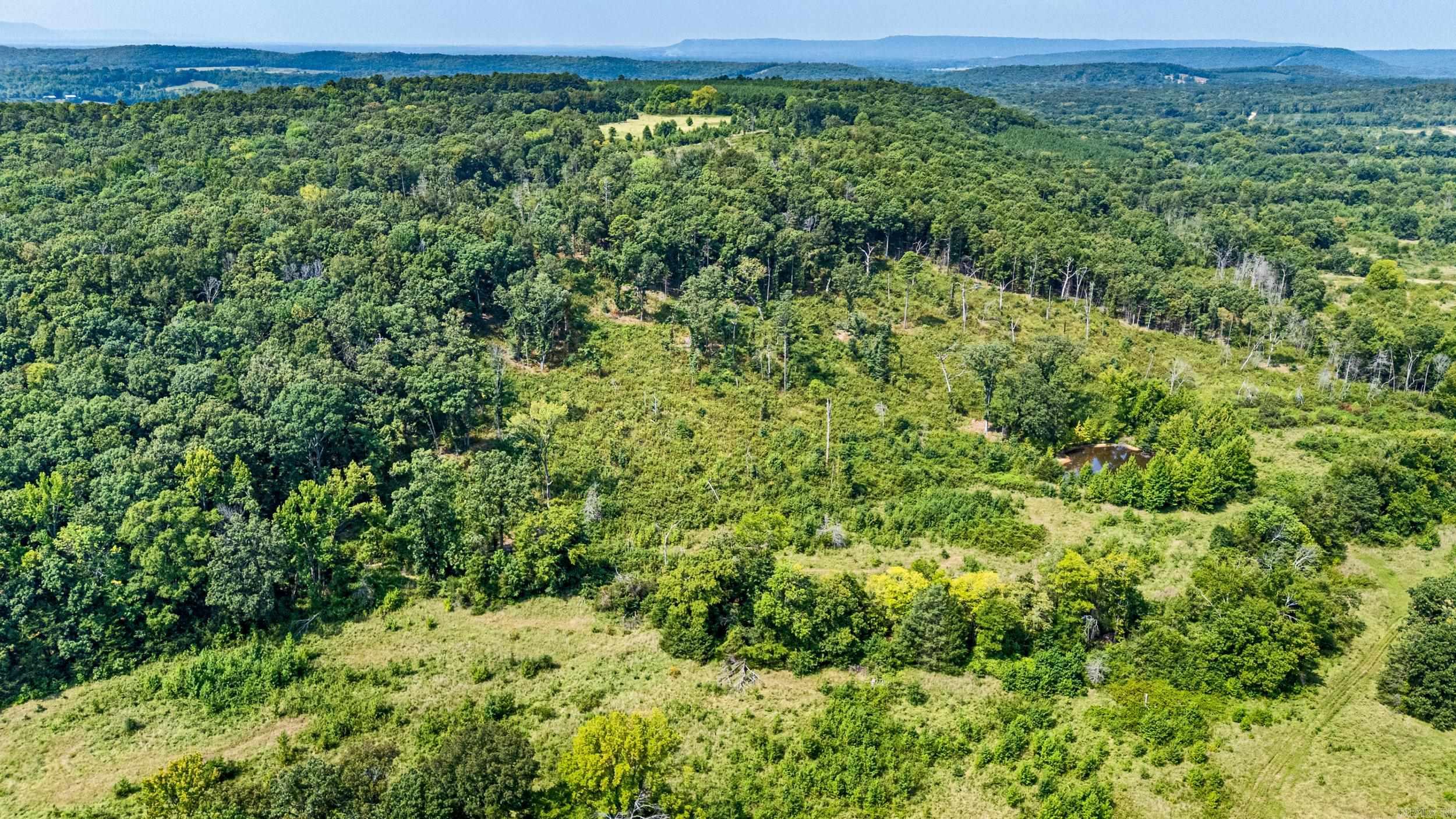 00 Hwy 213 /devils Creek Road Property Photo 25