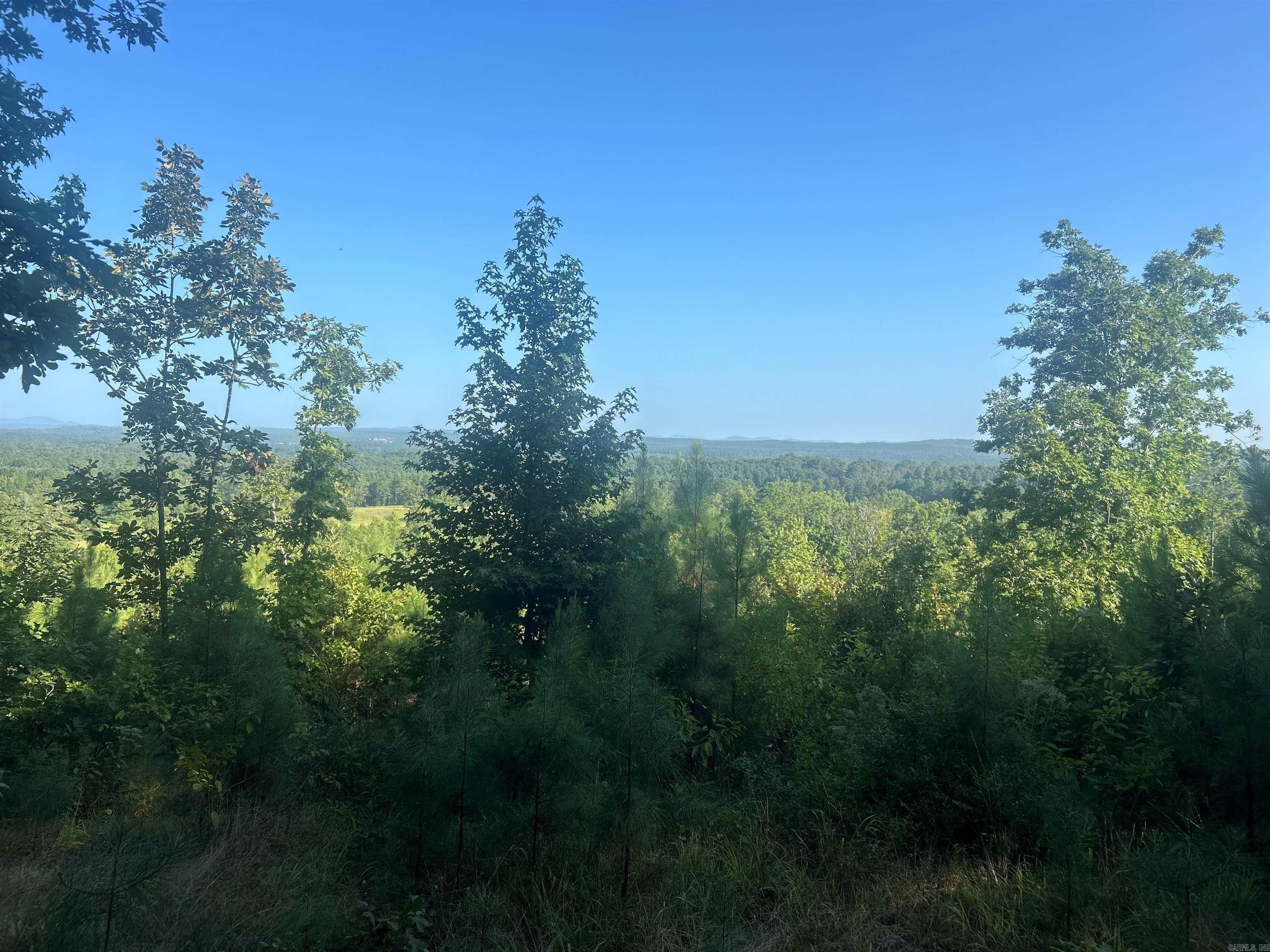TBD 347 Highway Property Photo 1
