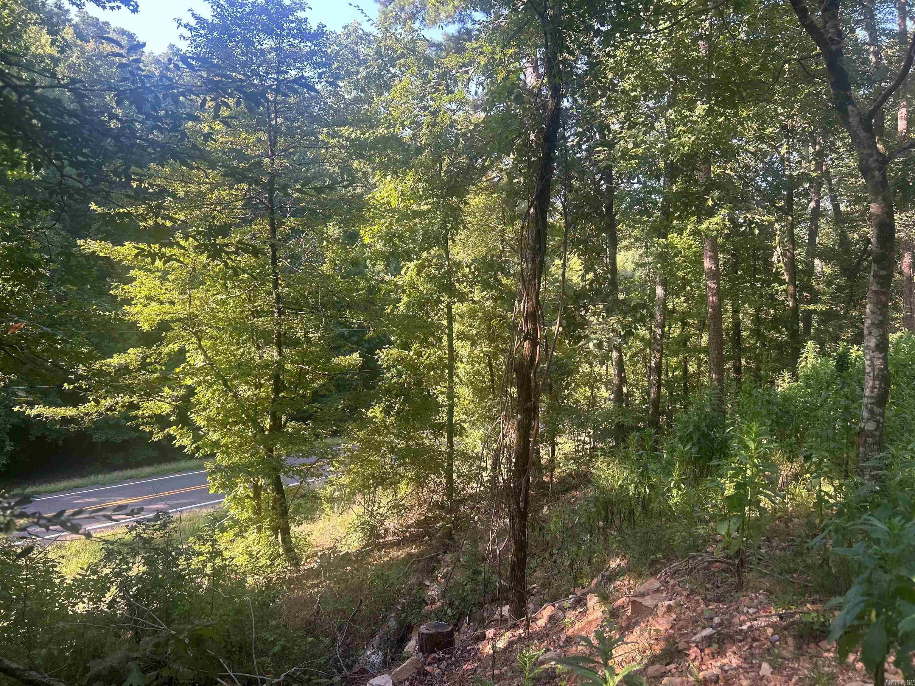 Tbd 347 Highway Property Photo 2