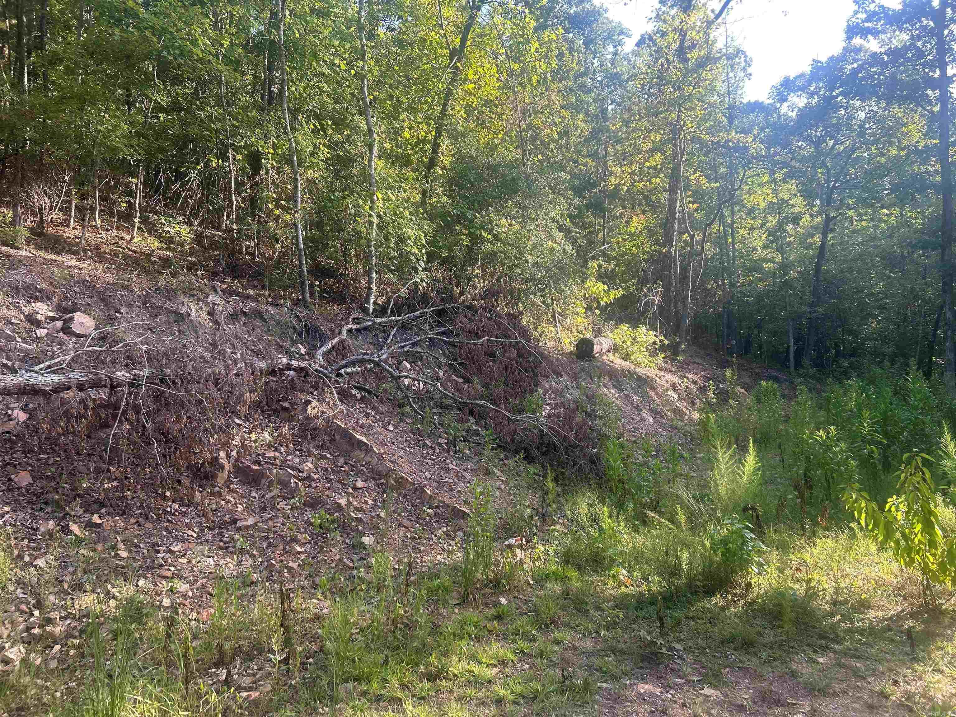 Tbd 347 Highway Property Photo 3
