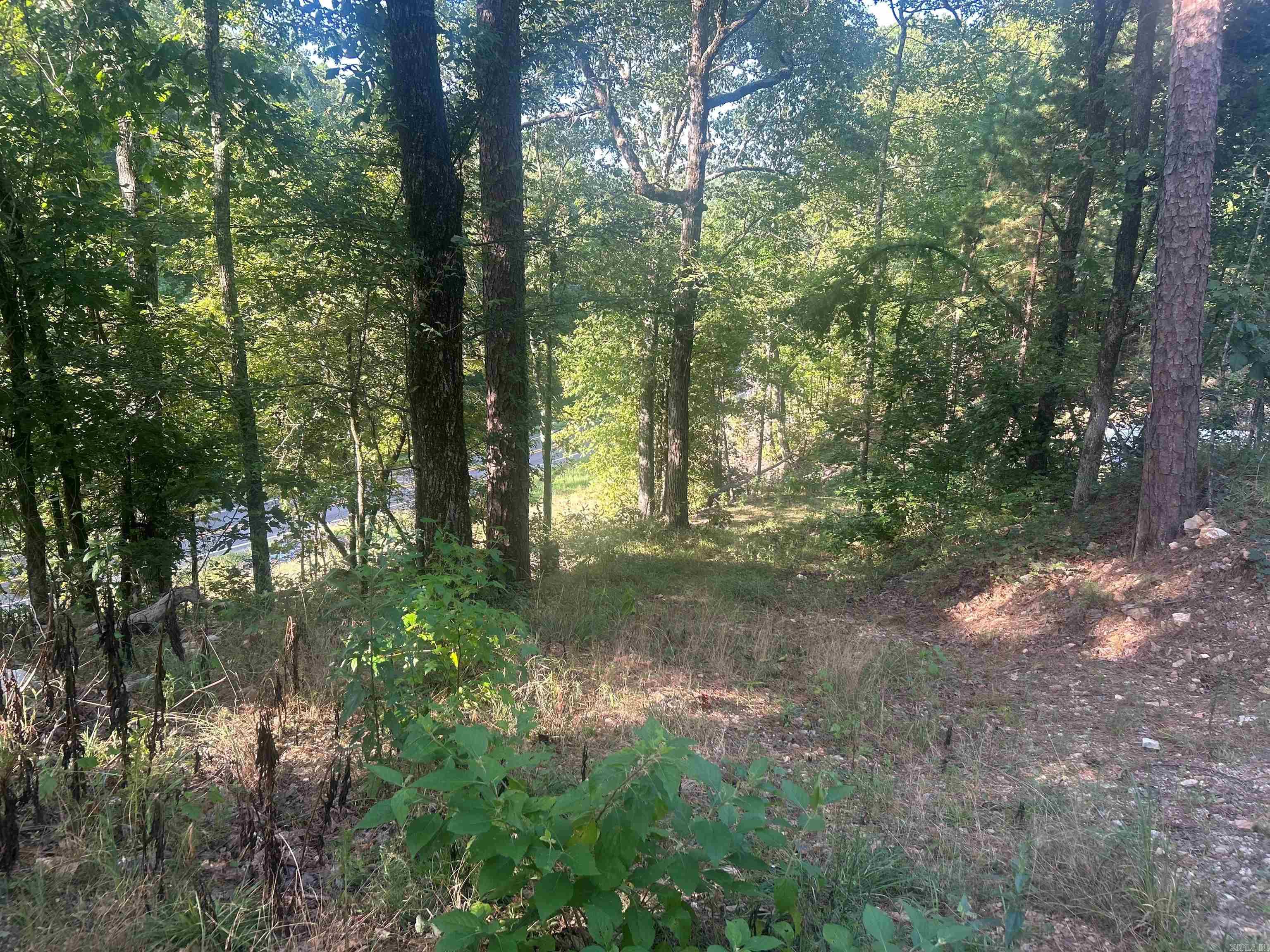 Tbd 347 Highway Property Photo 4