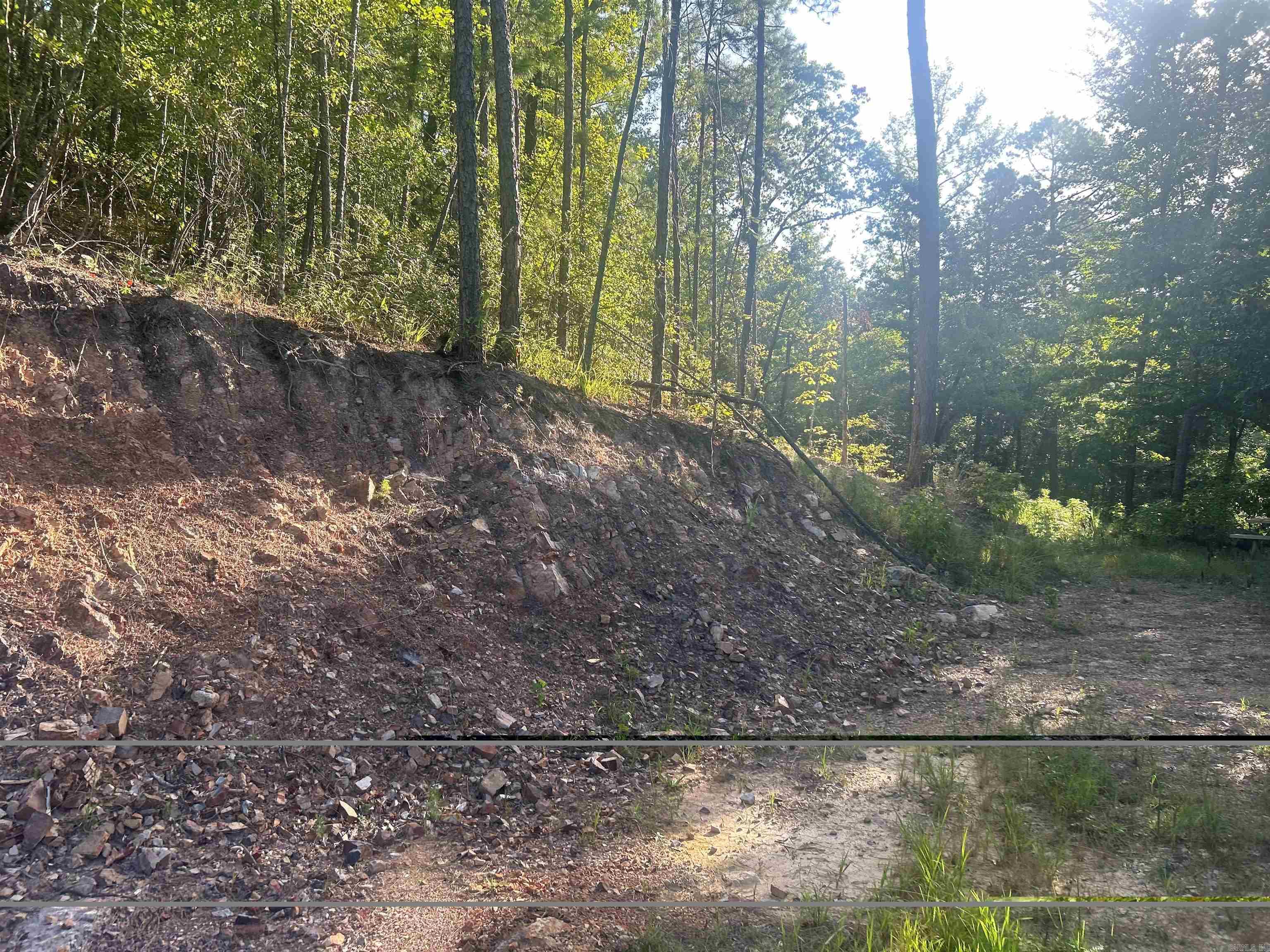 Tbd 347 Highway Property Photo 5