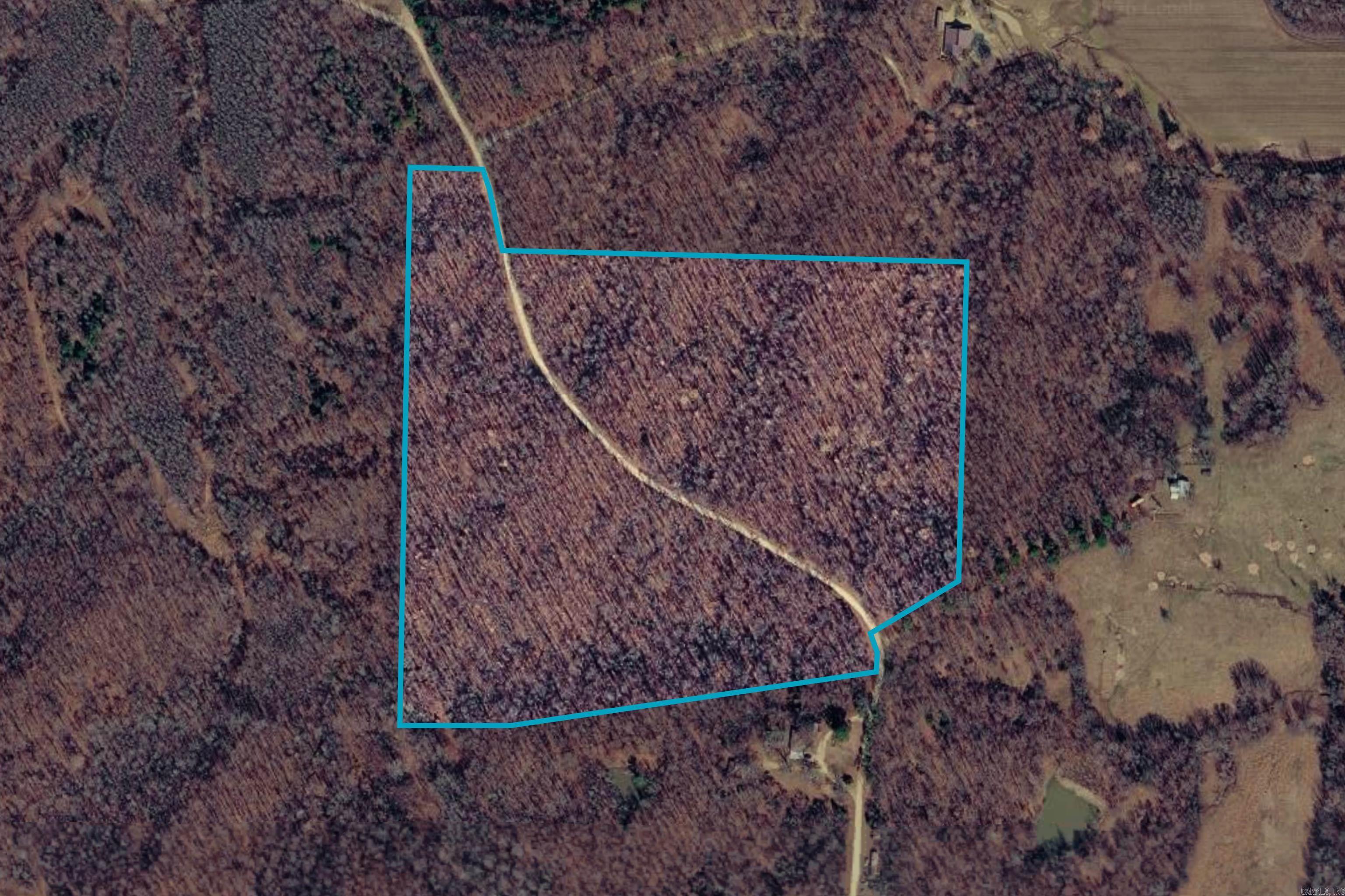 Tract 1 County 408 Road Property Photo 1
