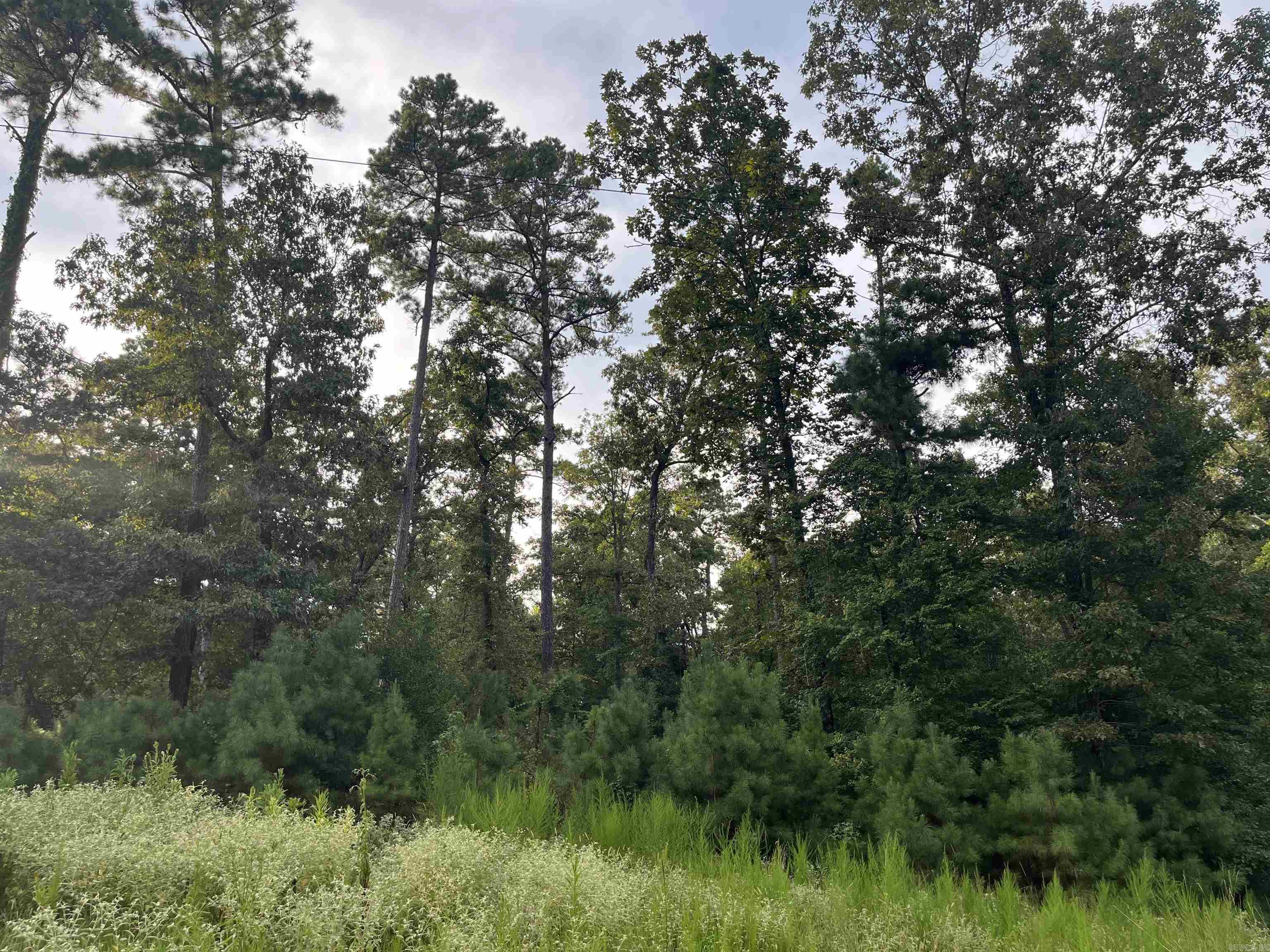 0 S Power Line Road Property Photo 1