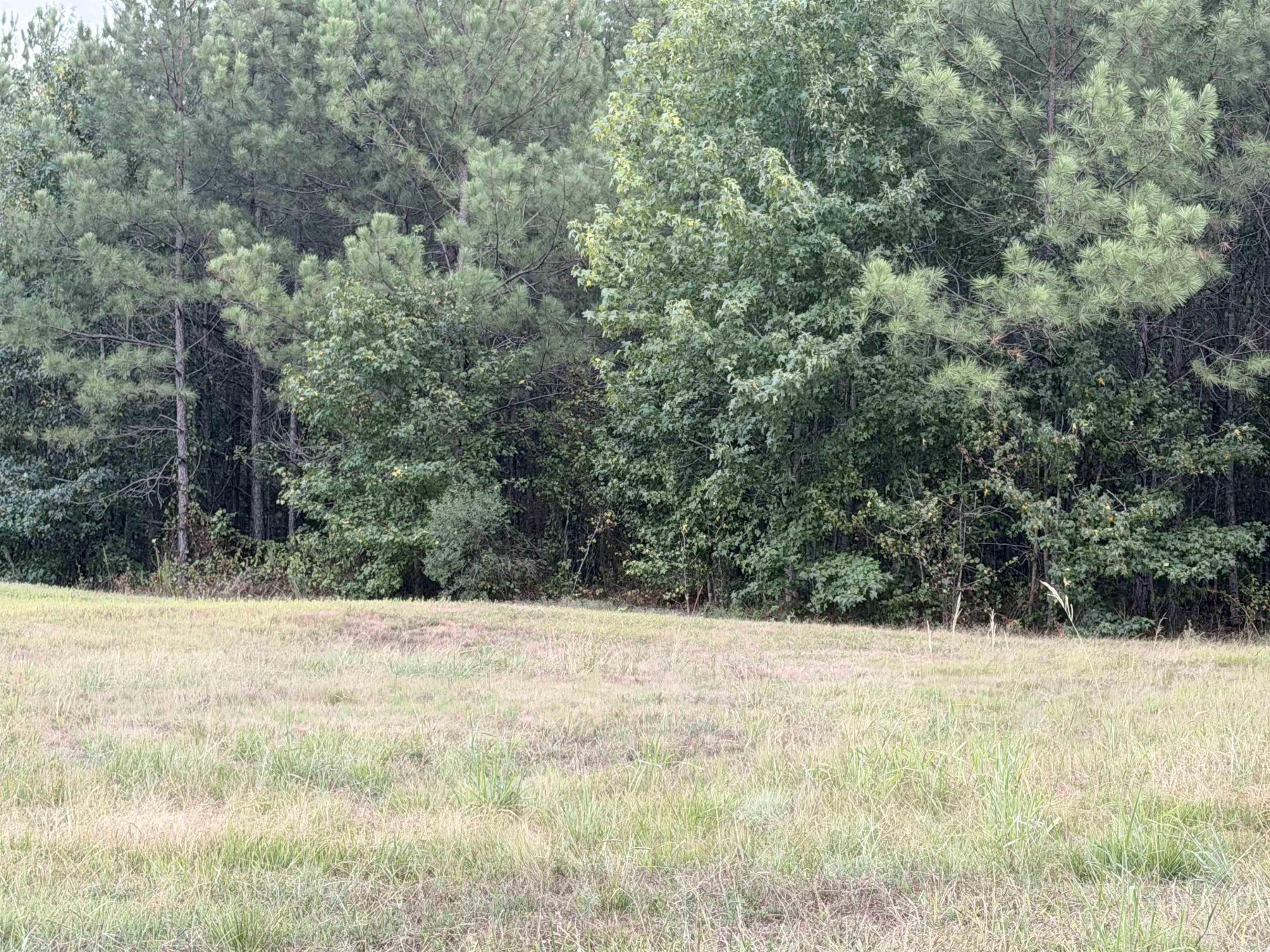 000 Shannon Road Property Photo 2
